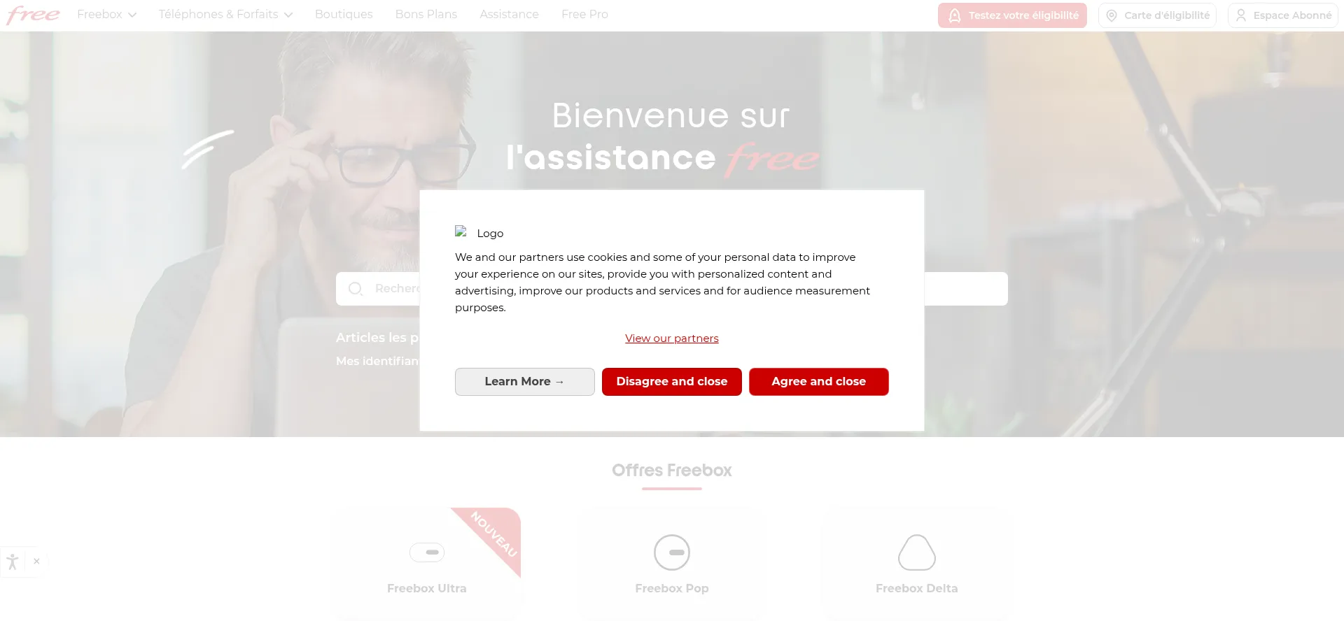 Website screenshot of Assistance-1.free.fr