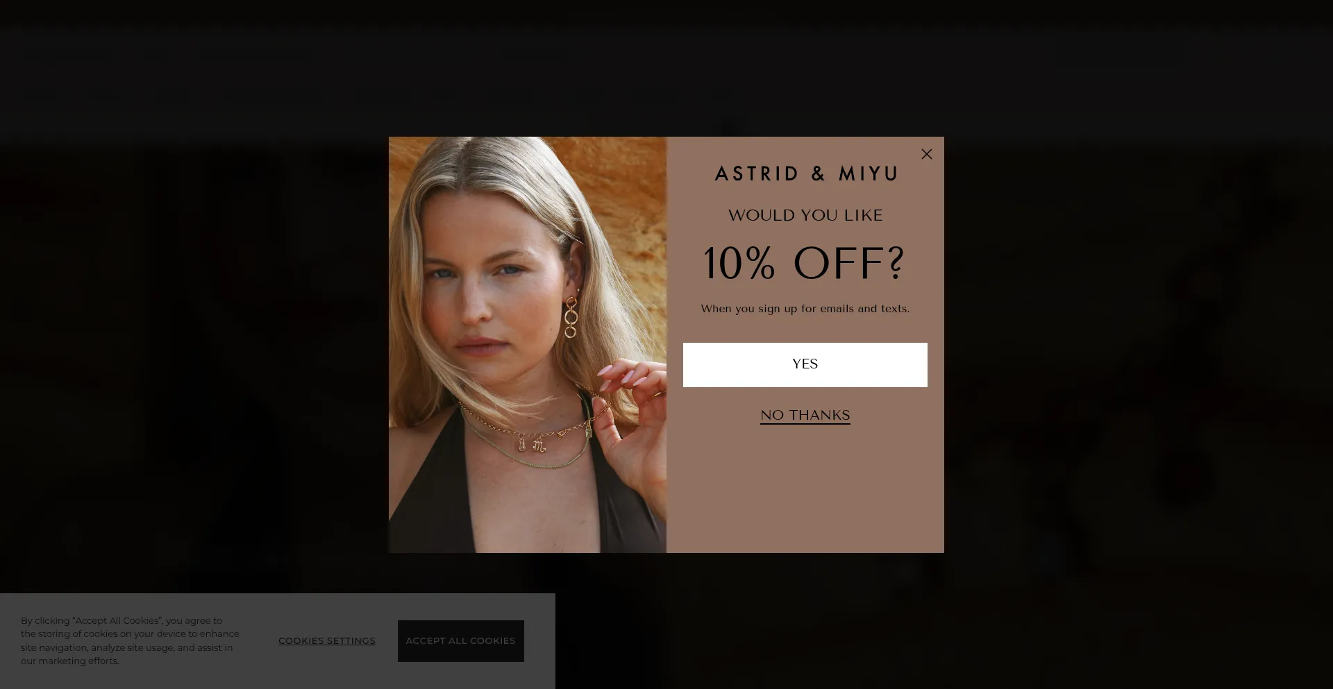 Website screenshot of Astridandmiyu.com
