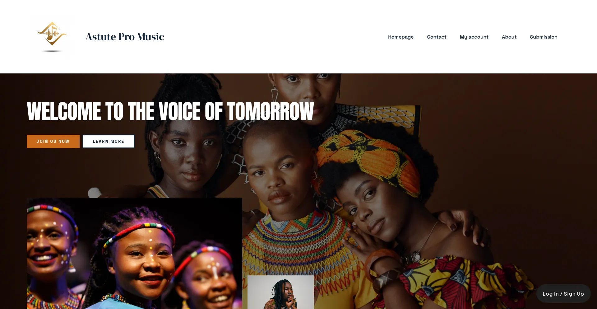 Website screenshot of Astutepromusic.africa