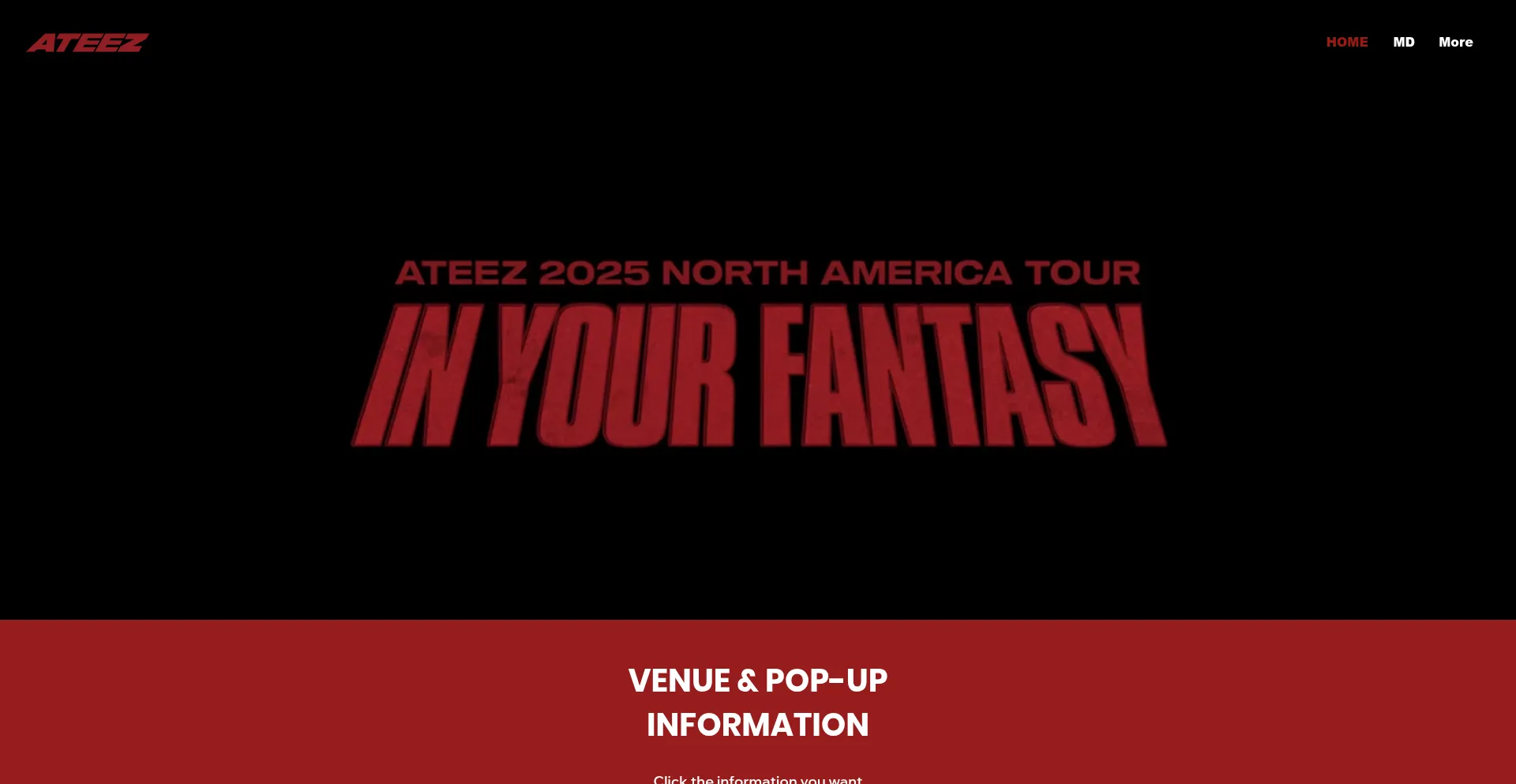 Website screenshot of Ateezgoods.com