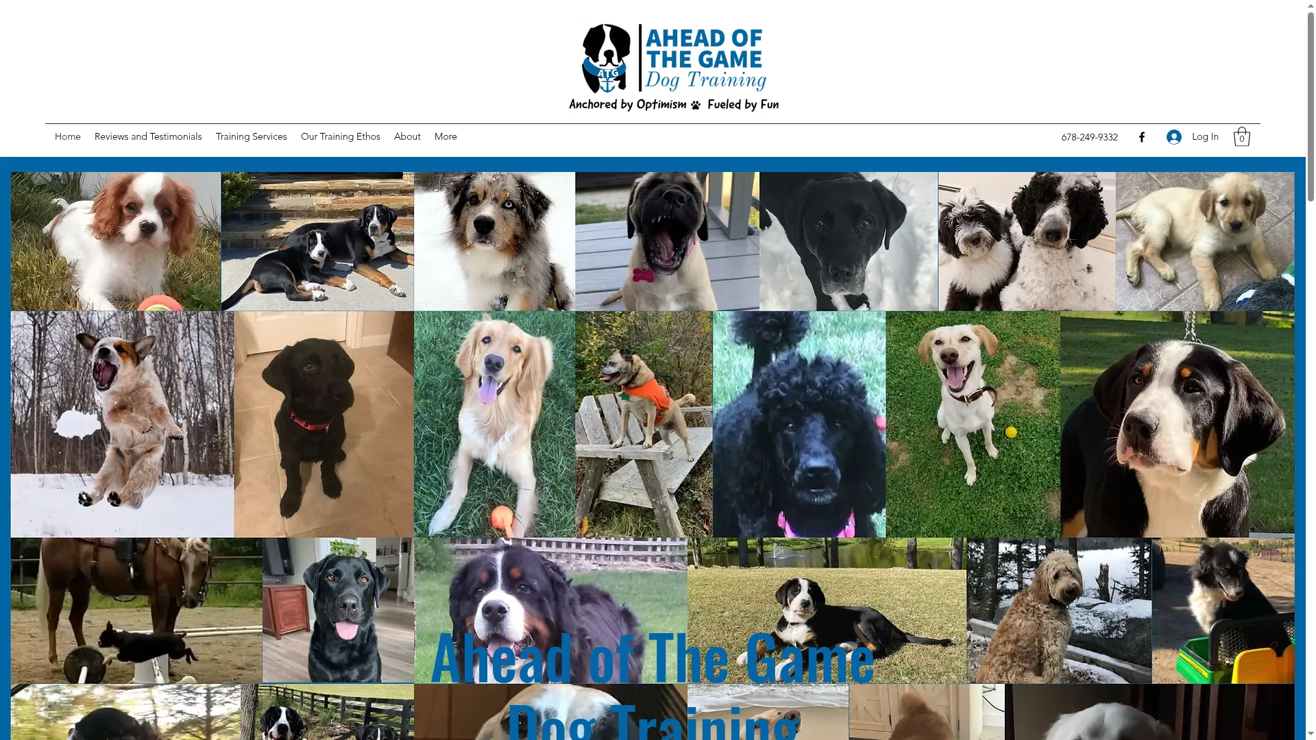 Atgdogtraining.com