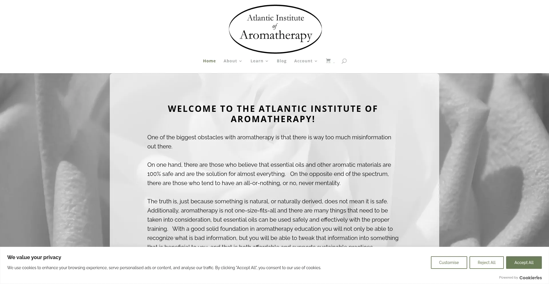 Atlanticinstitute.com