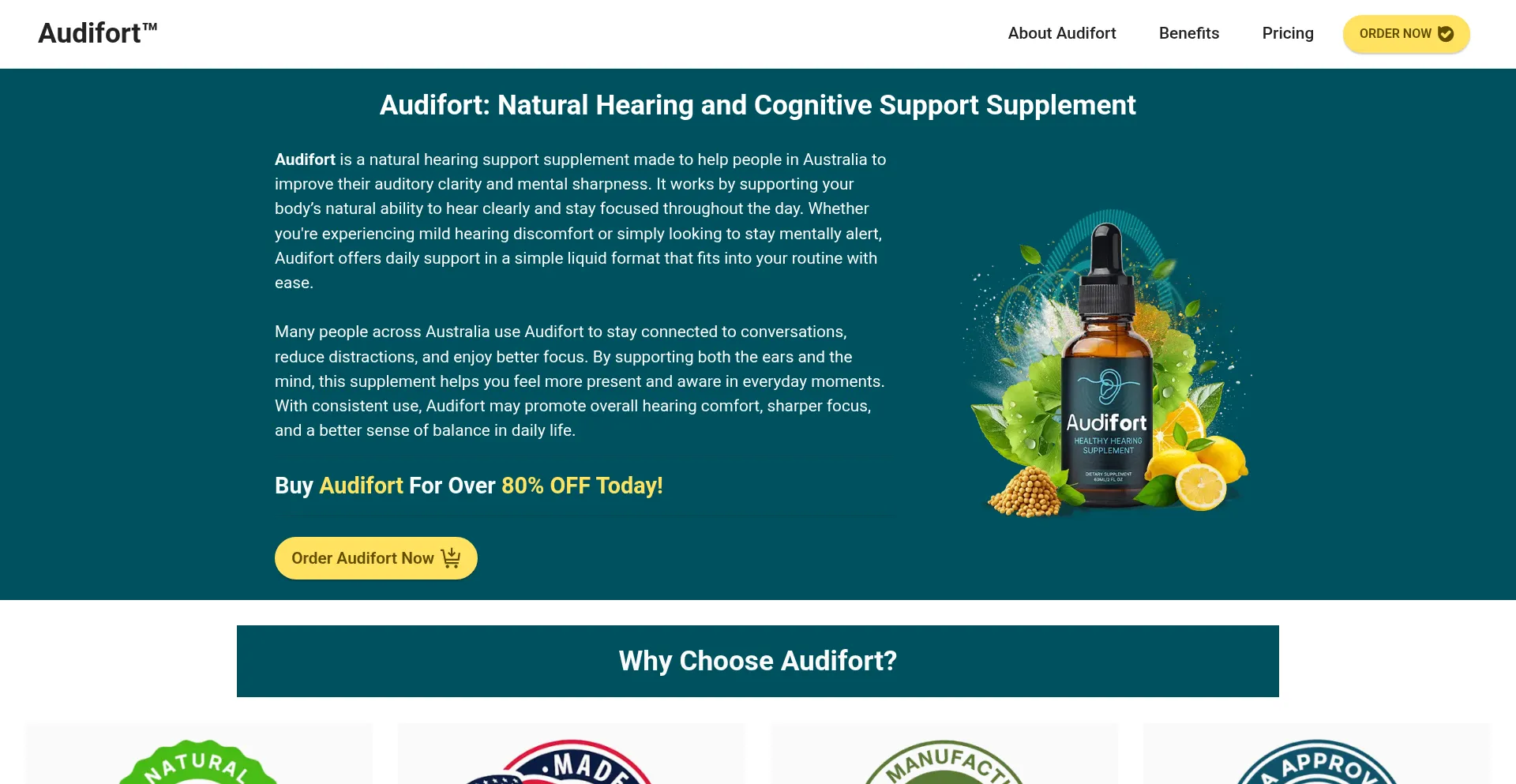 Website screenshot of Audifort.au