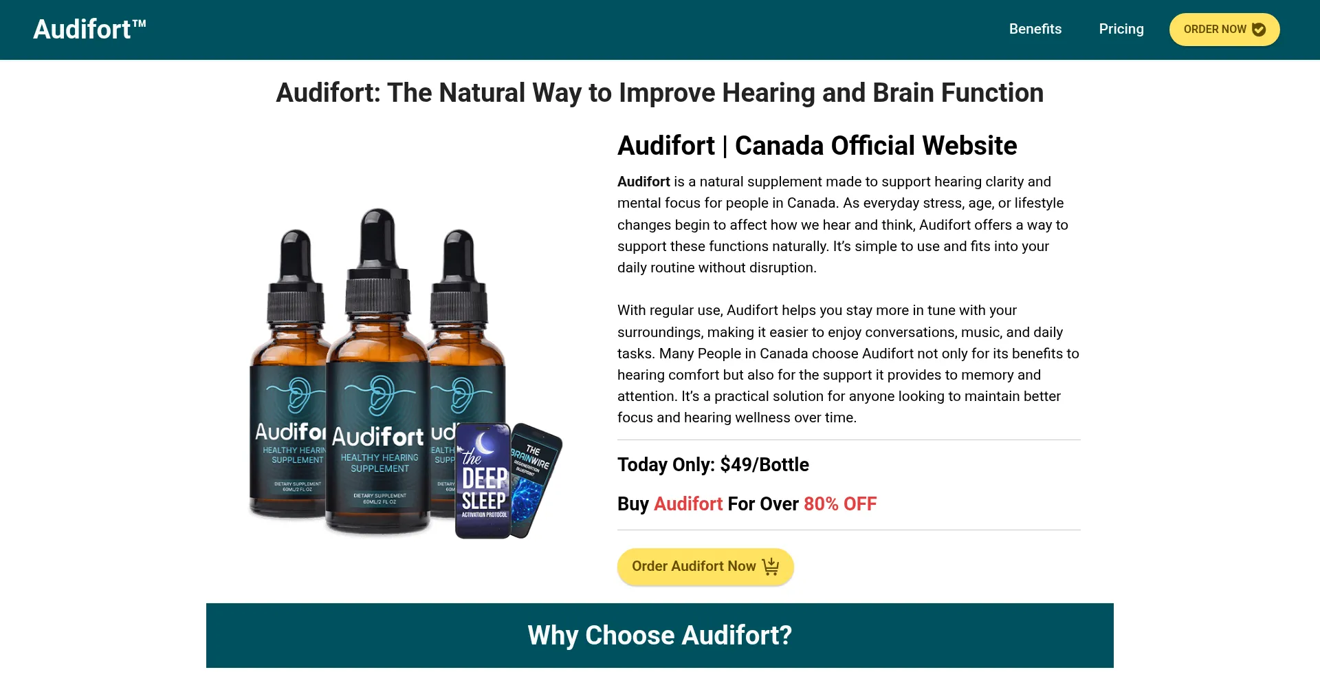 Website screenshot of Audifort-canada.ca