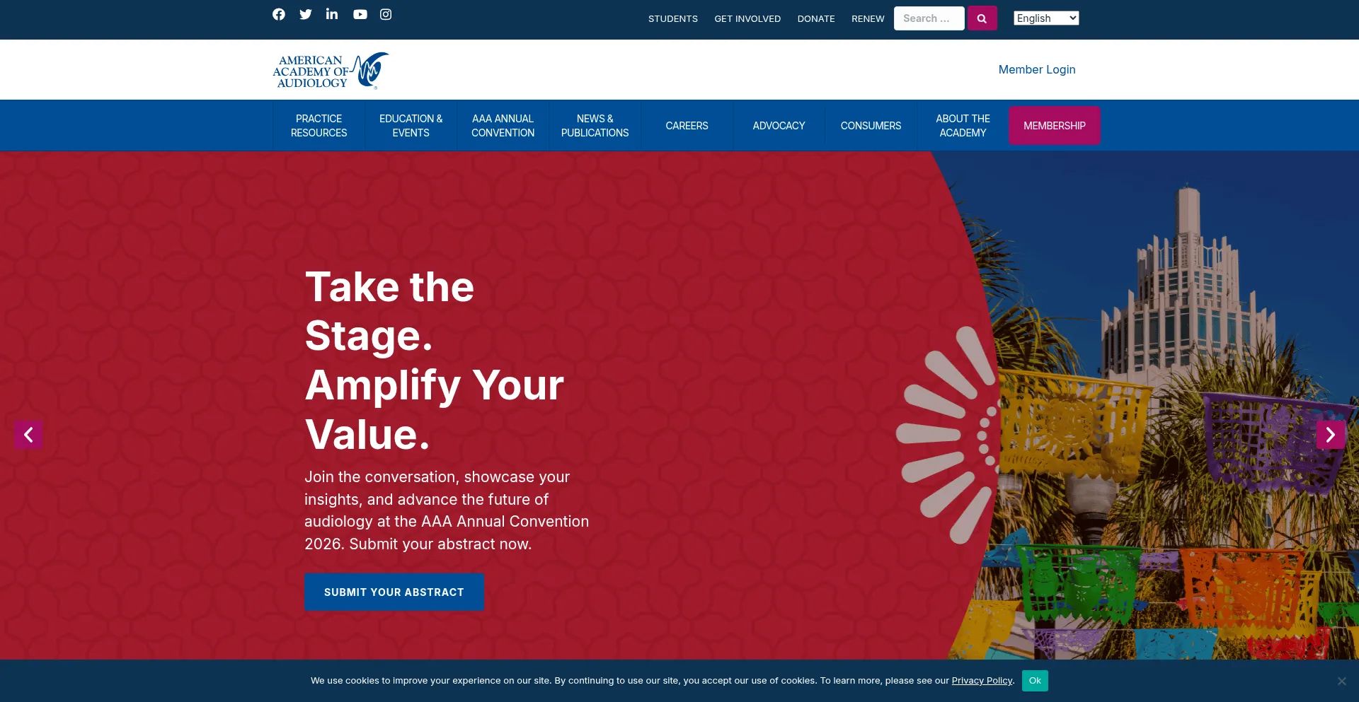 Website screenshot of Audiology.org
