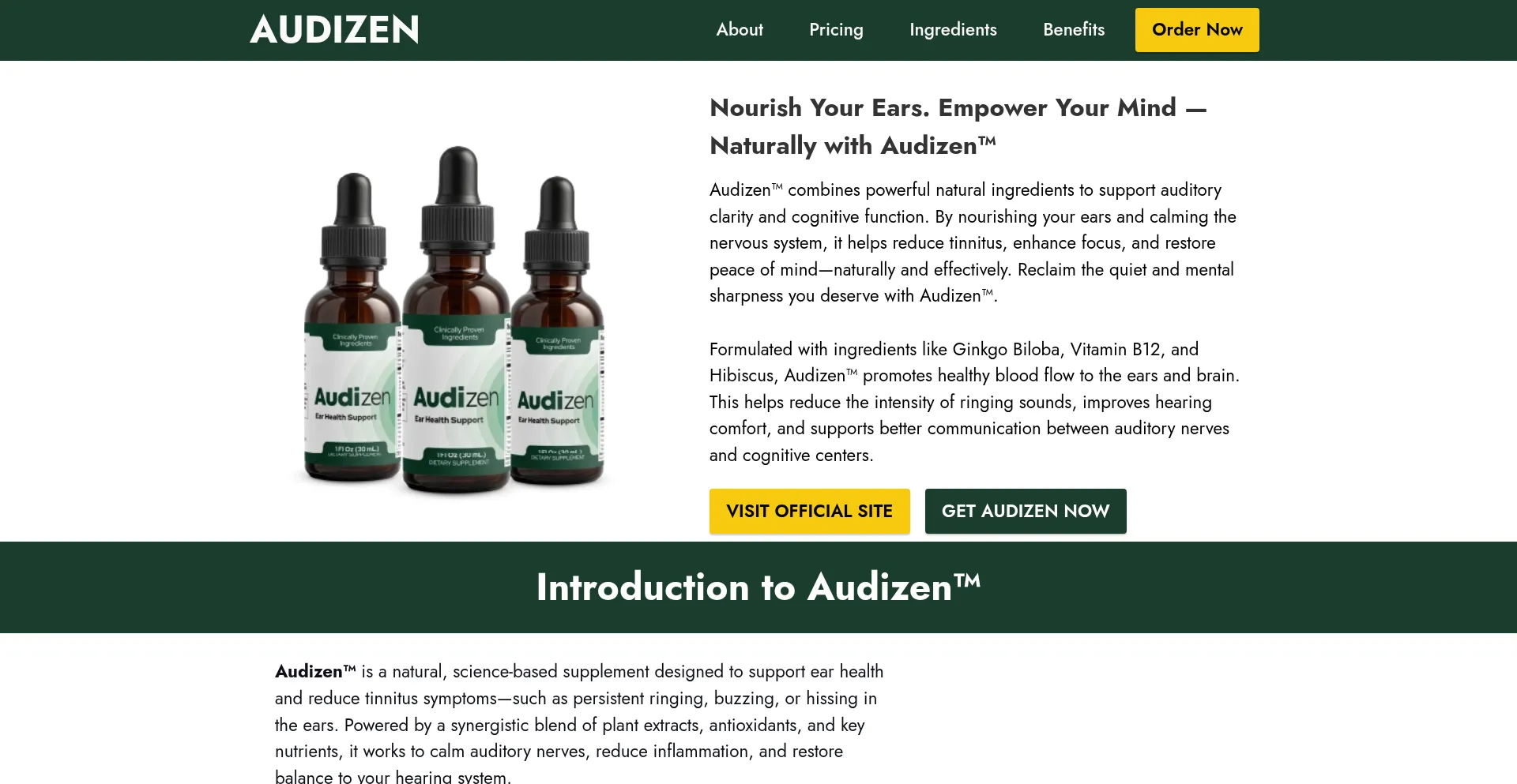 Website screenshot of Audizan.com