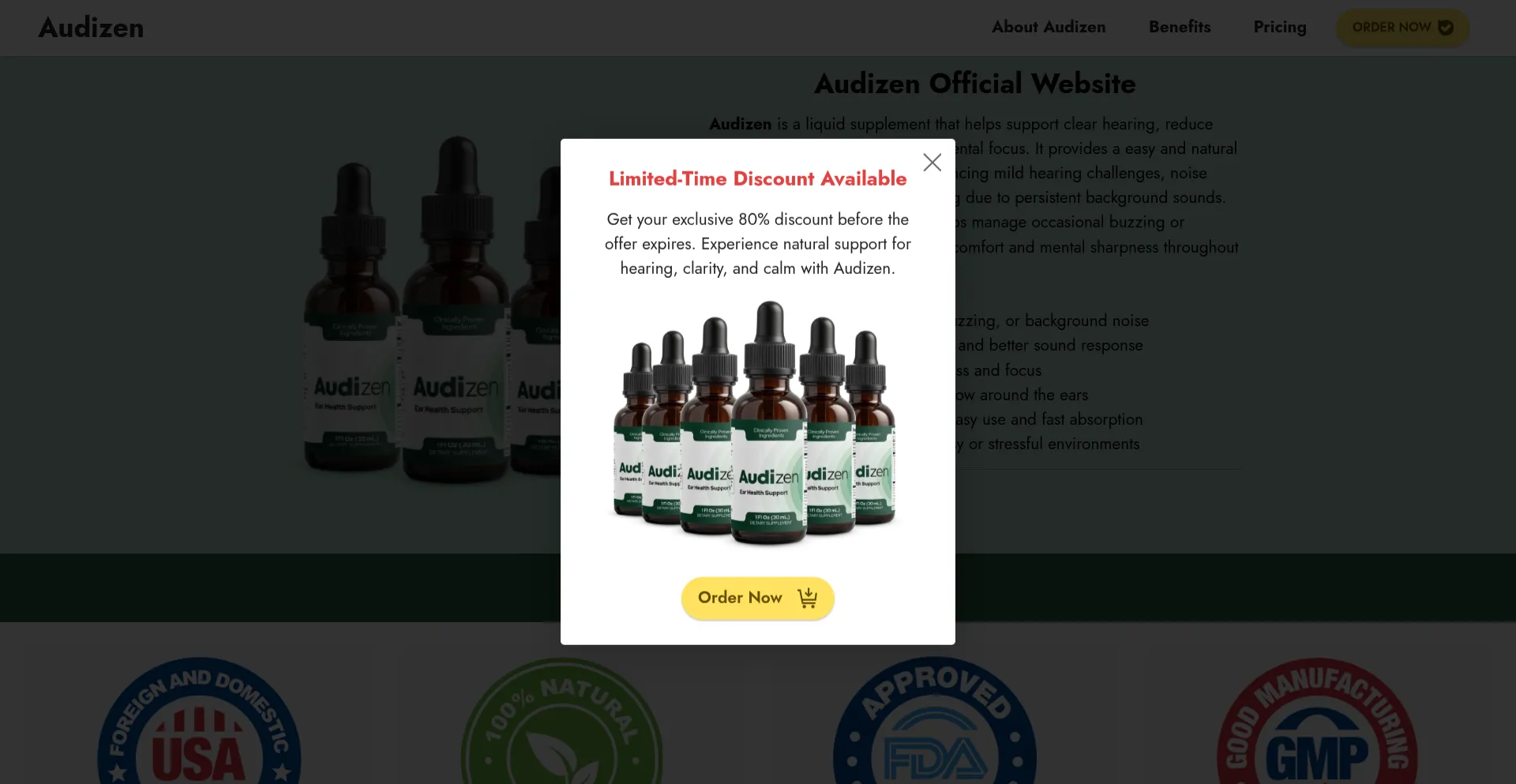Audizen-tm.com Screenshot