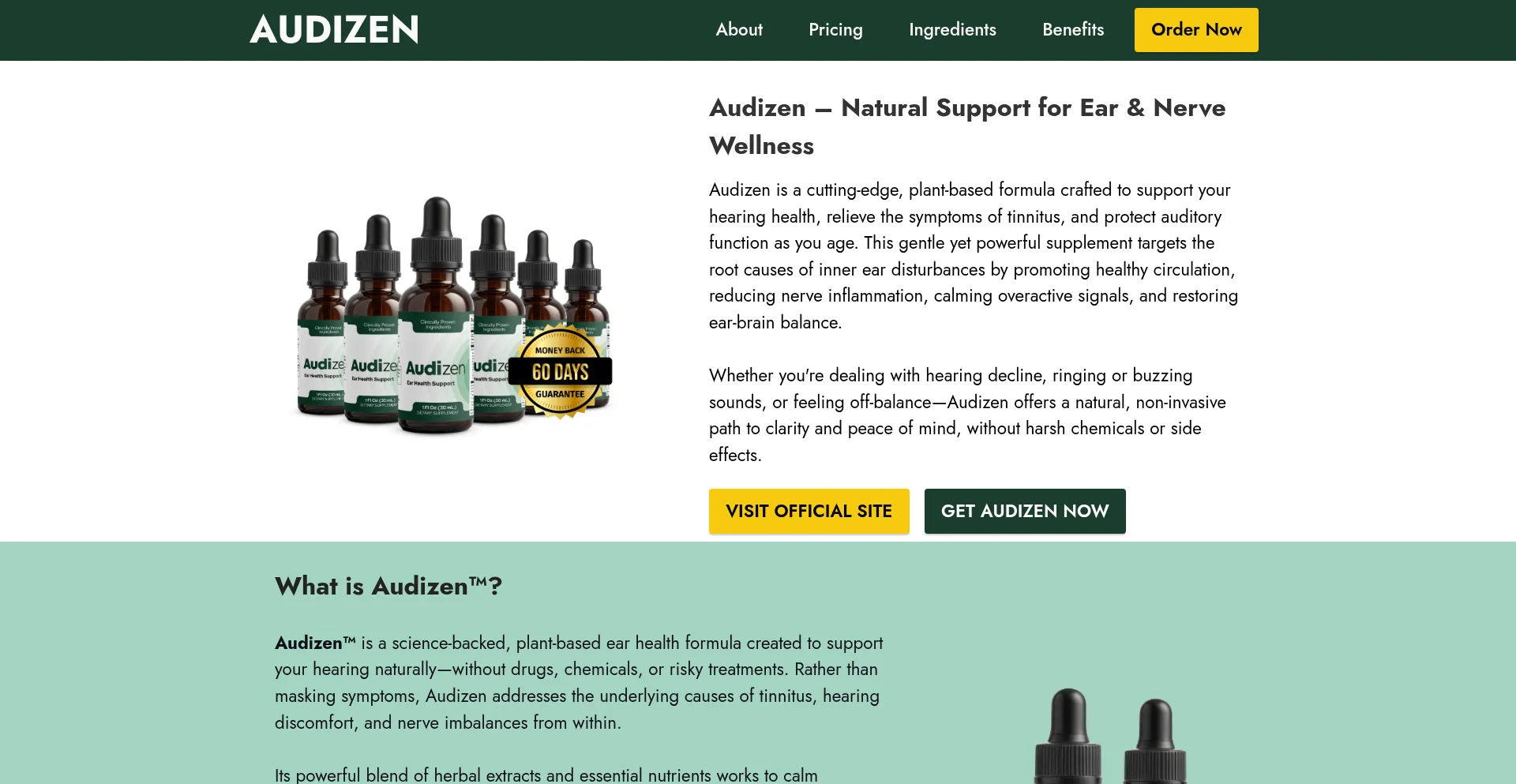 Audizenusa.com Screenshot