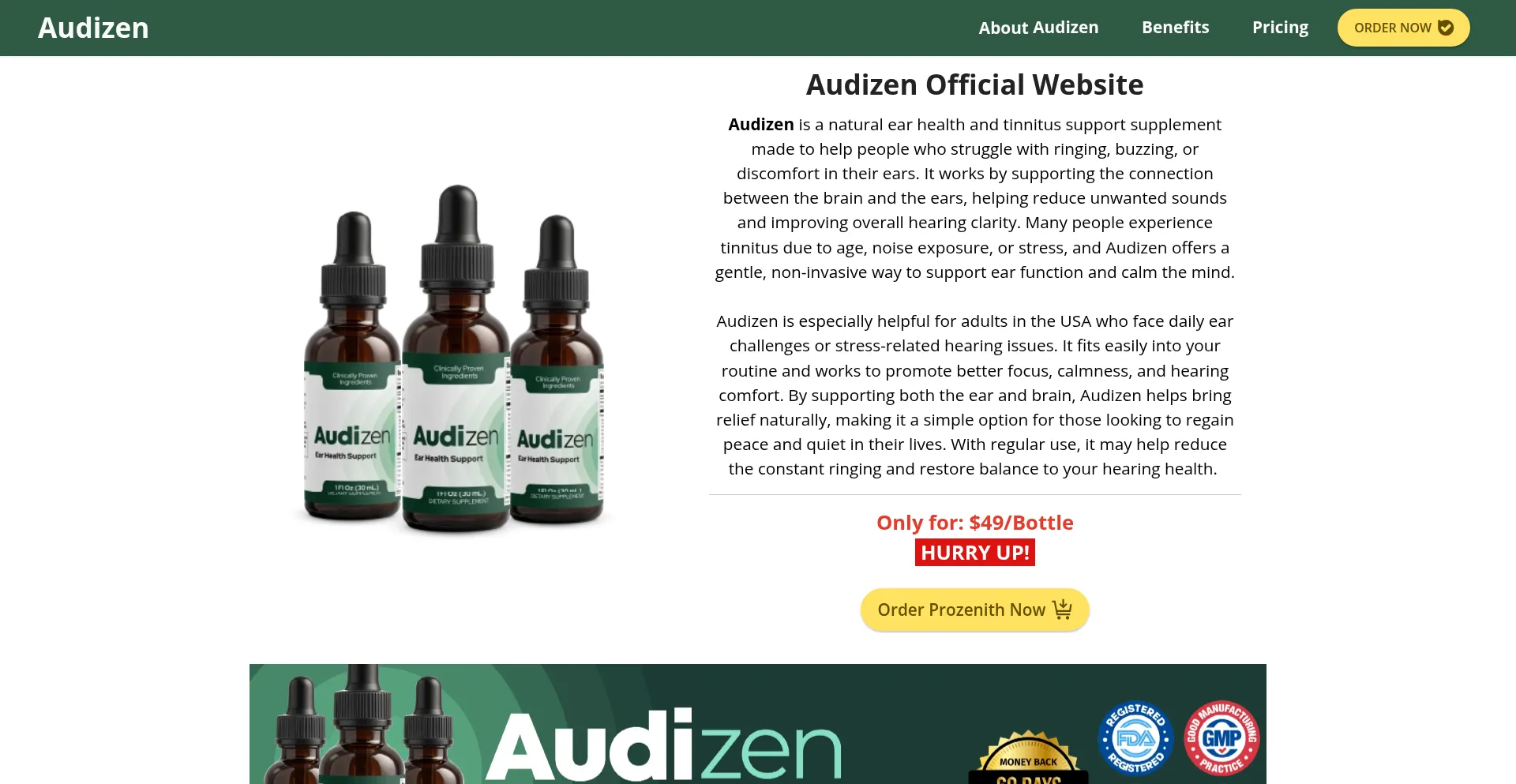 Audizin.com Screenshot