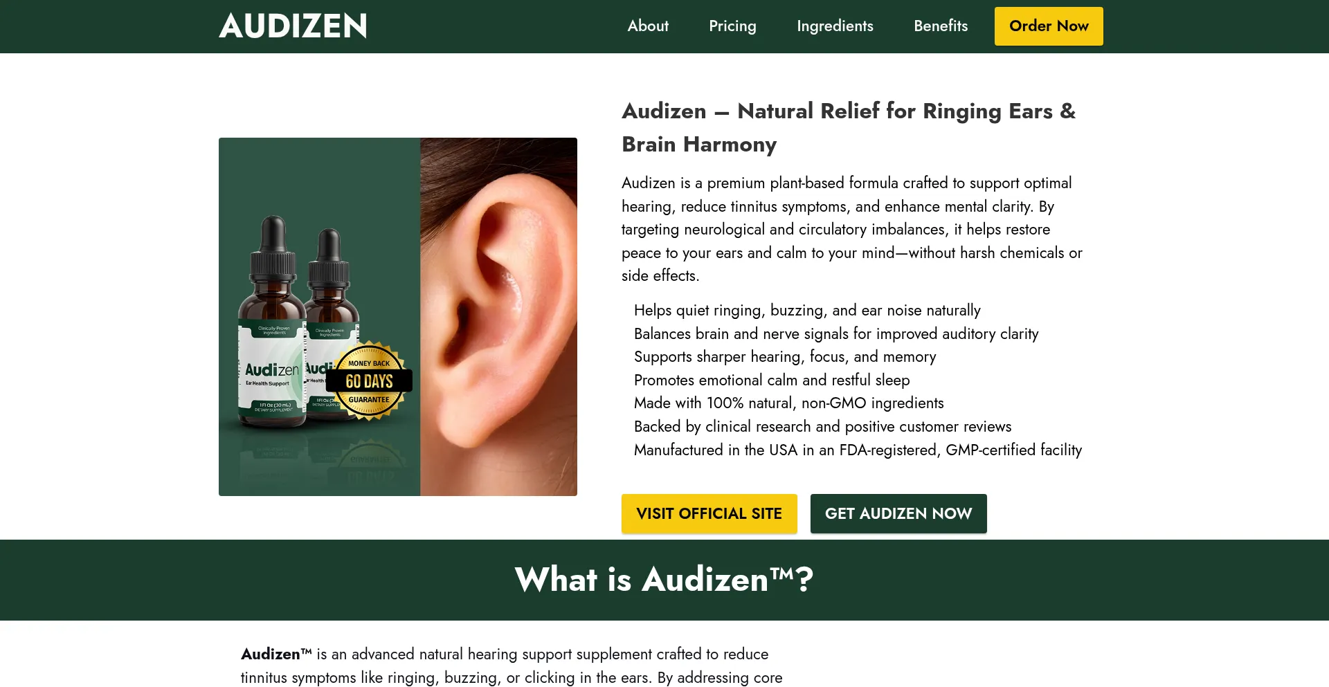 Audyzen.com Screenshot