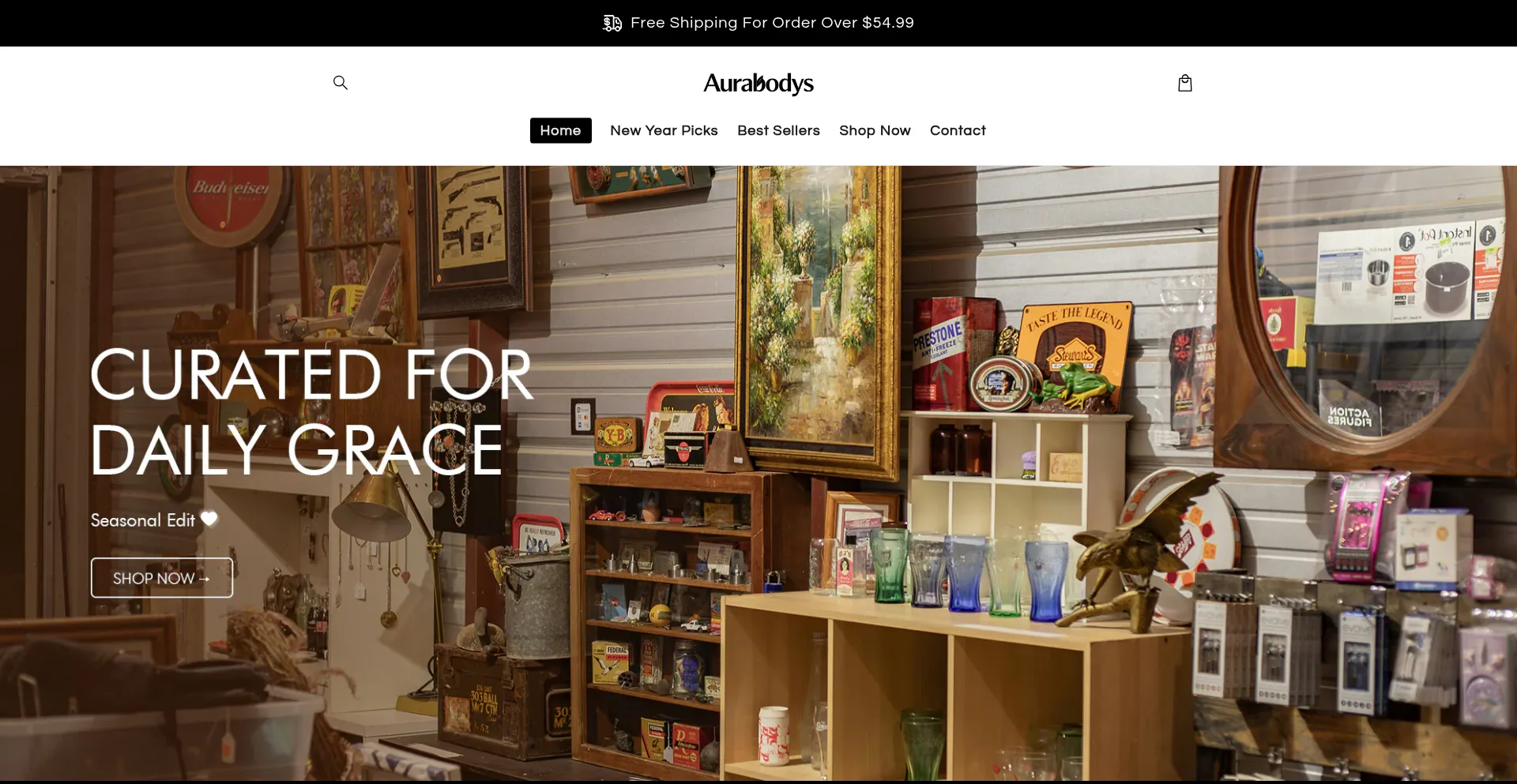 Aurabodys.com