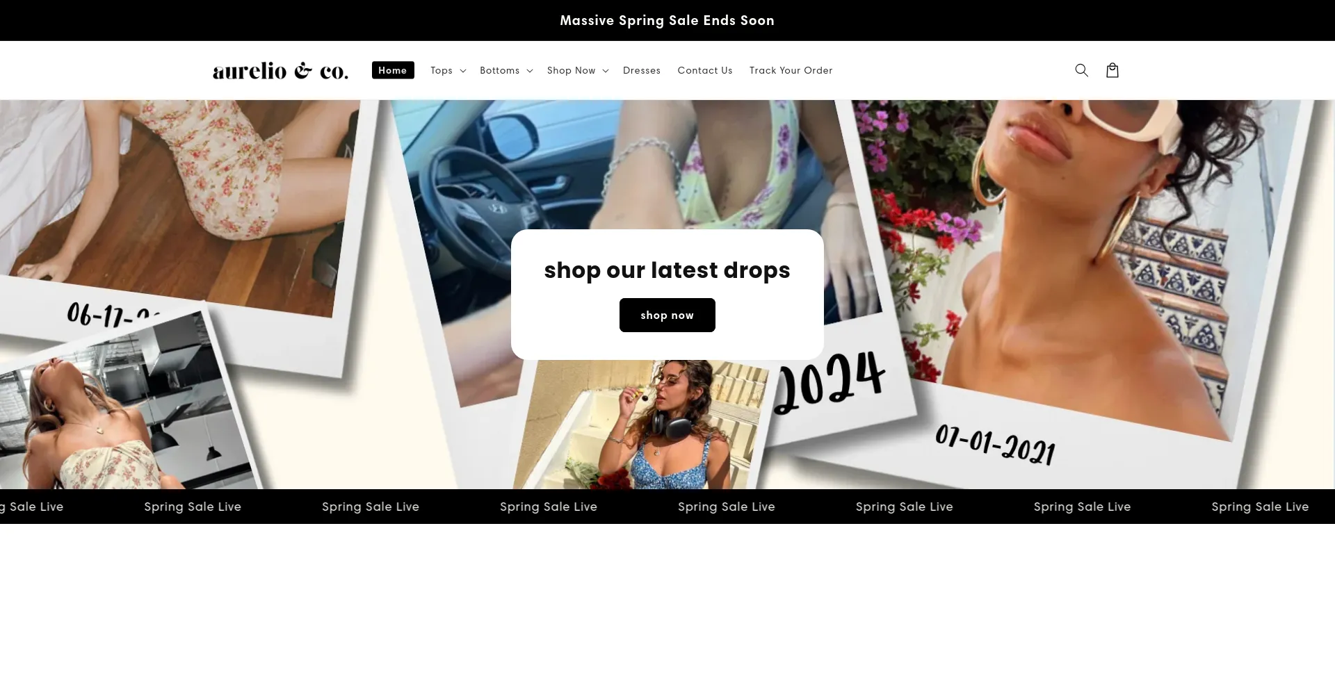 Website screenshot of Aurelioco.com