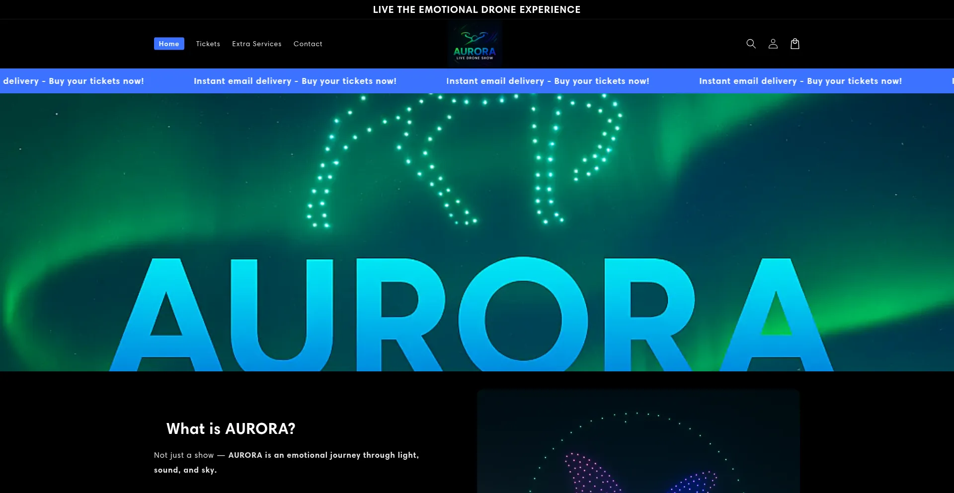Website screenshot of Auroralivefest.com