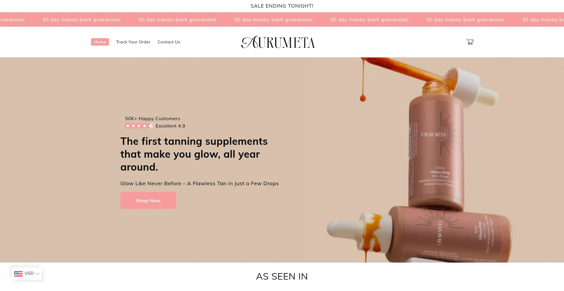 Website screenshot of Aurumeta.com