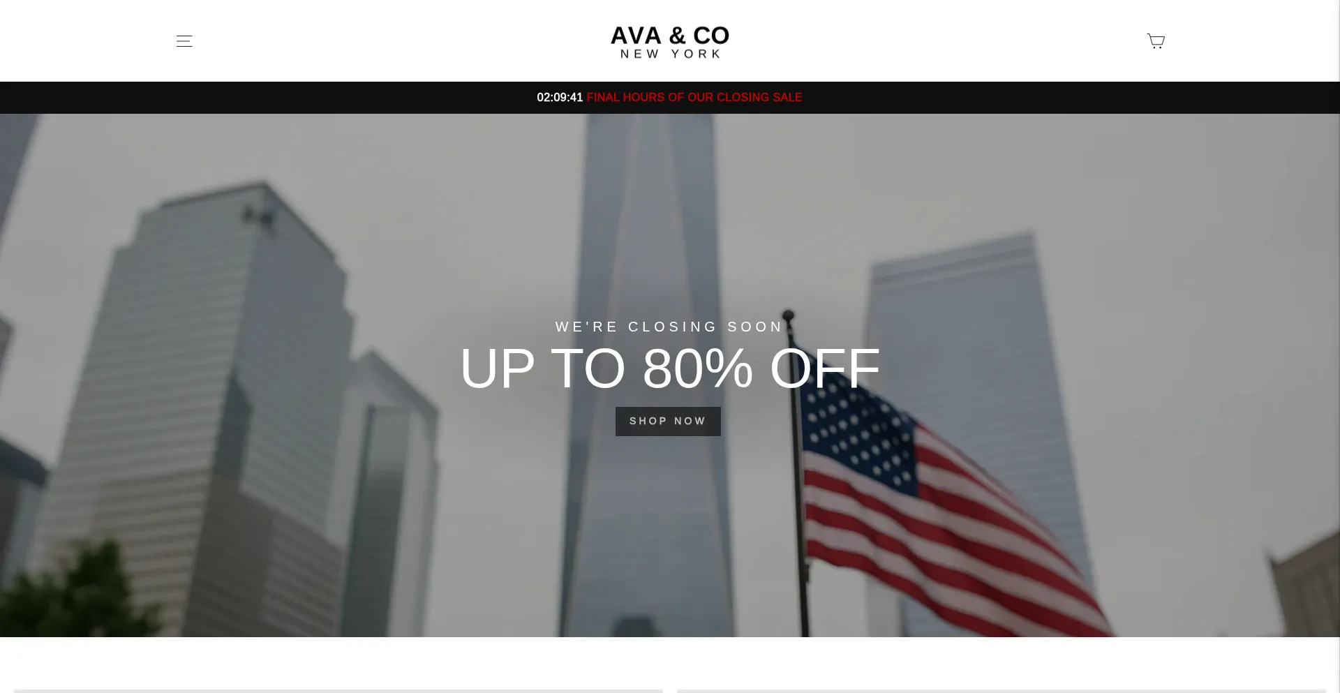 Website screenshot of Avaconewyork.com