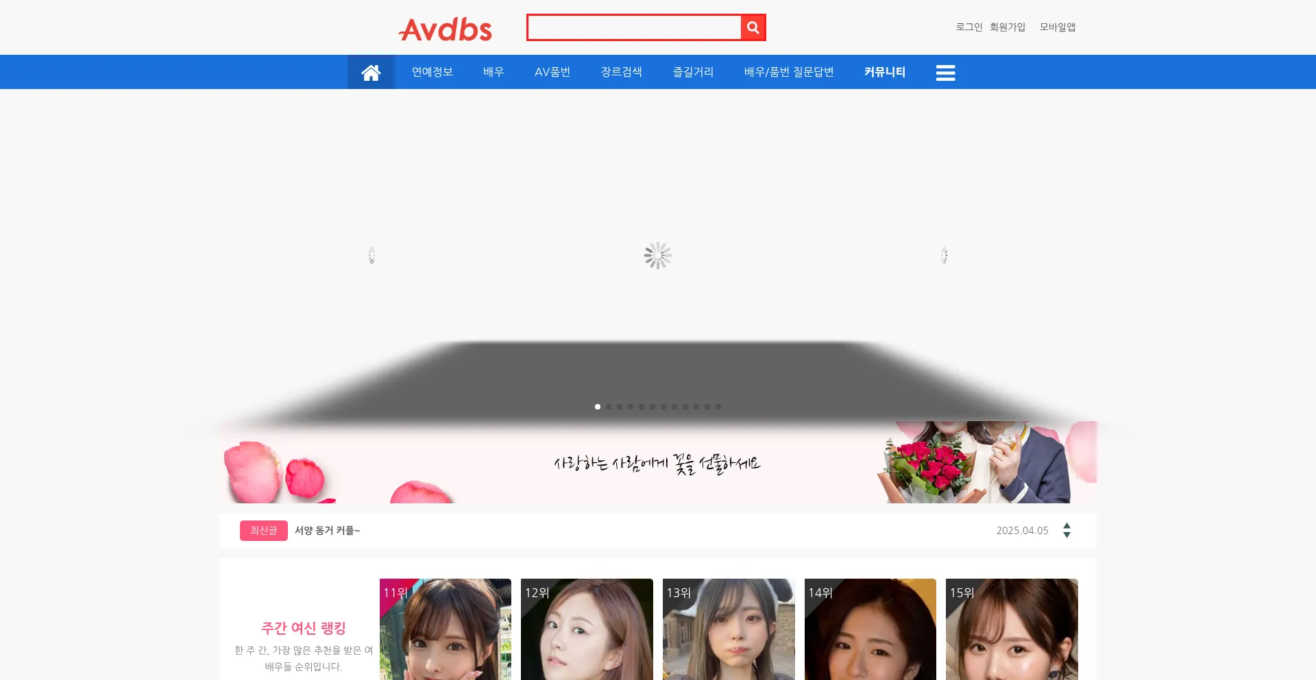 Website screenshot of Avdbs.com