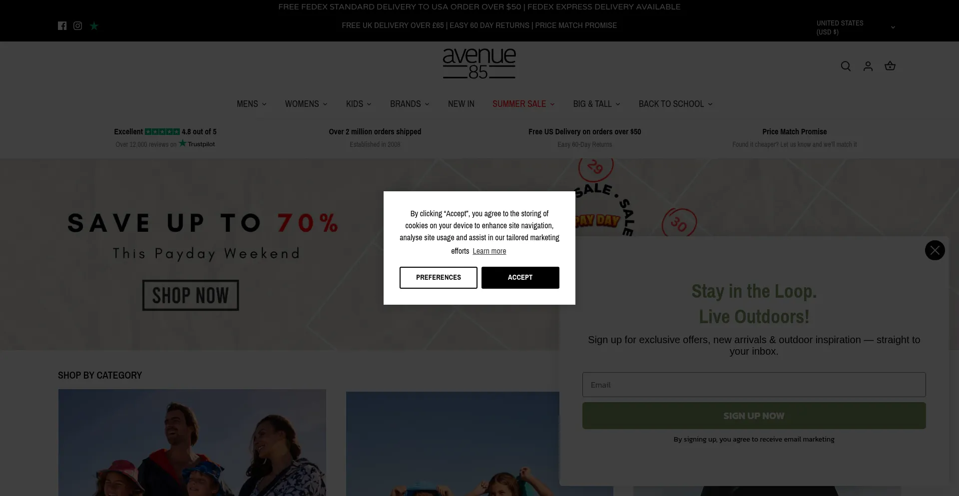 Website screenshot of Avenue85.co.uk