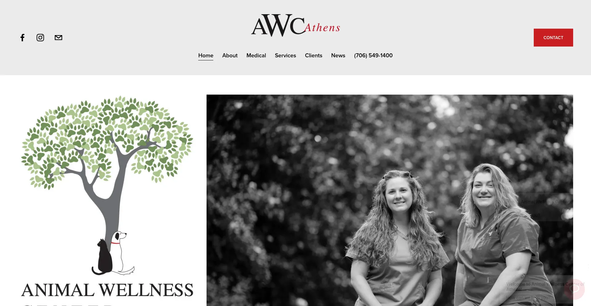 Website screenshot of Awcathens.com