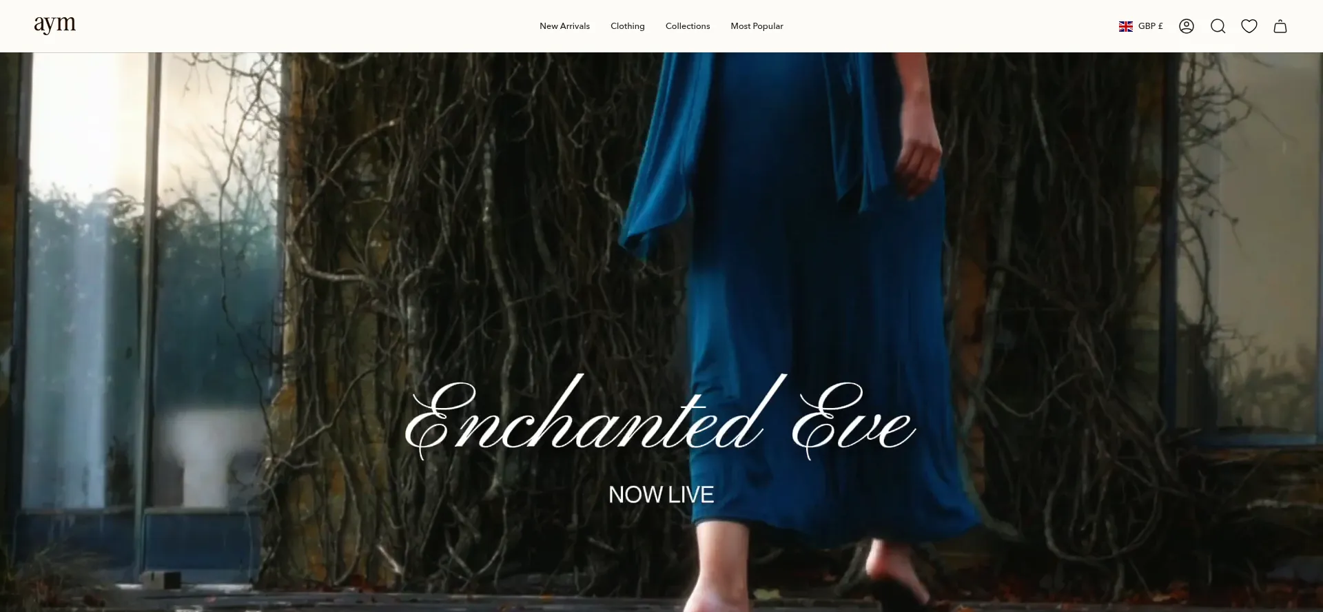 Website screenshot of Aym-studio.com