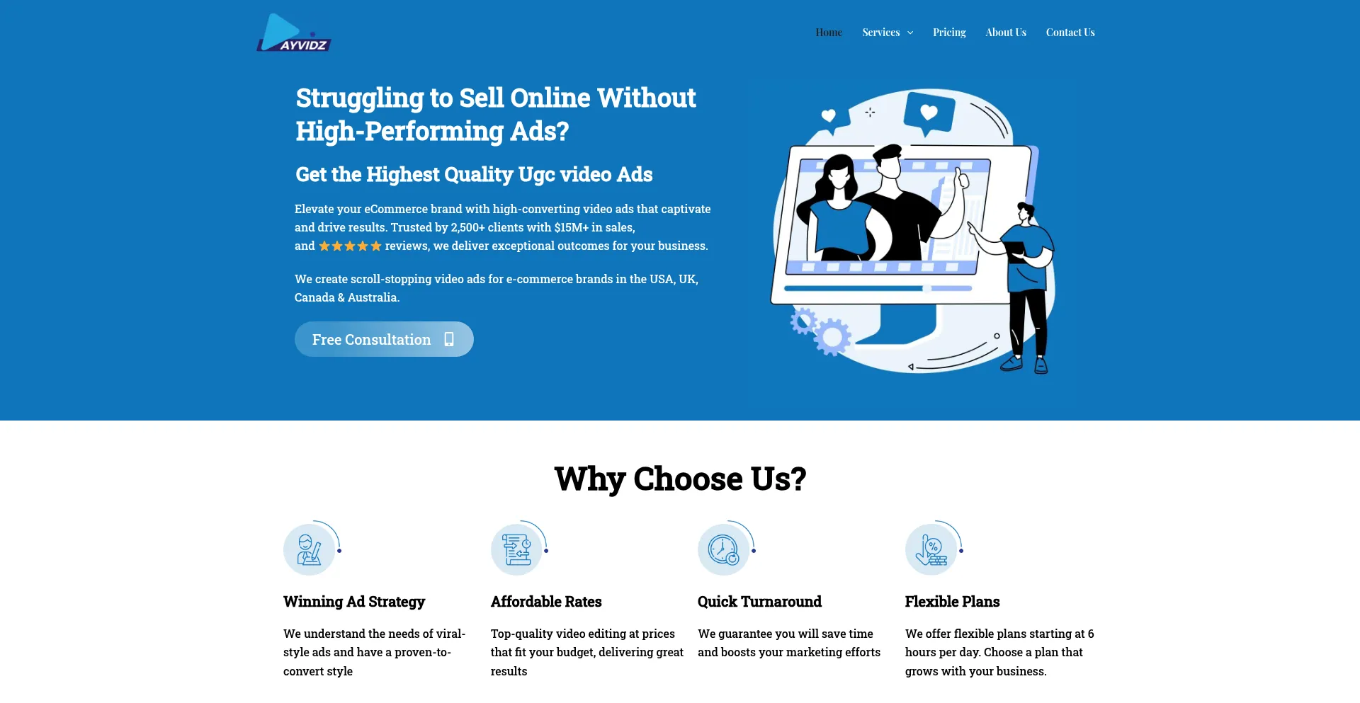 Website screenshot of Ayvidz.com