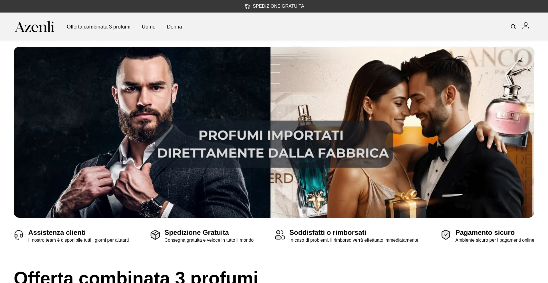 Website screenshot of Azenli-italia.com