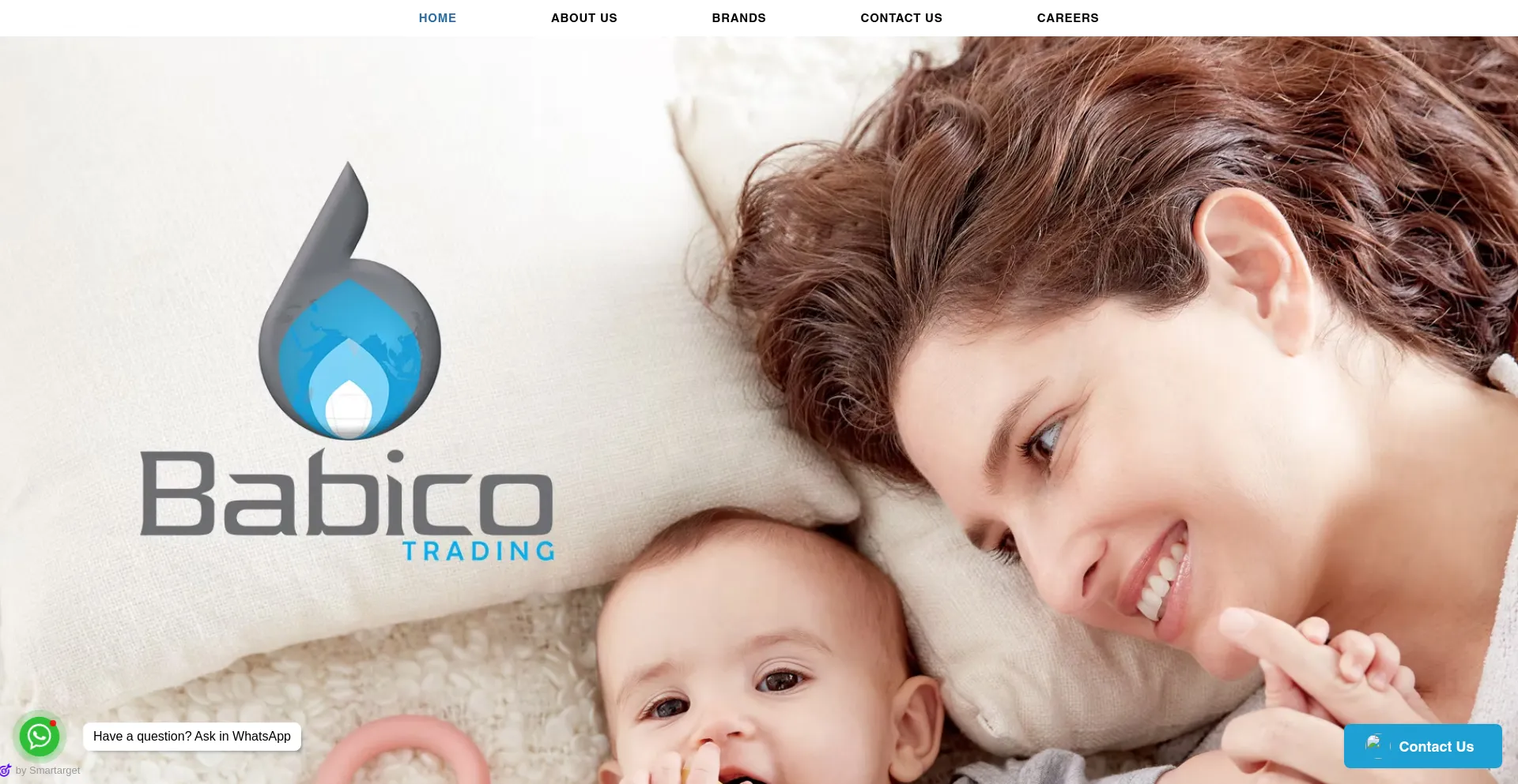 Website screenshot of Babico.co