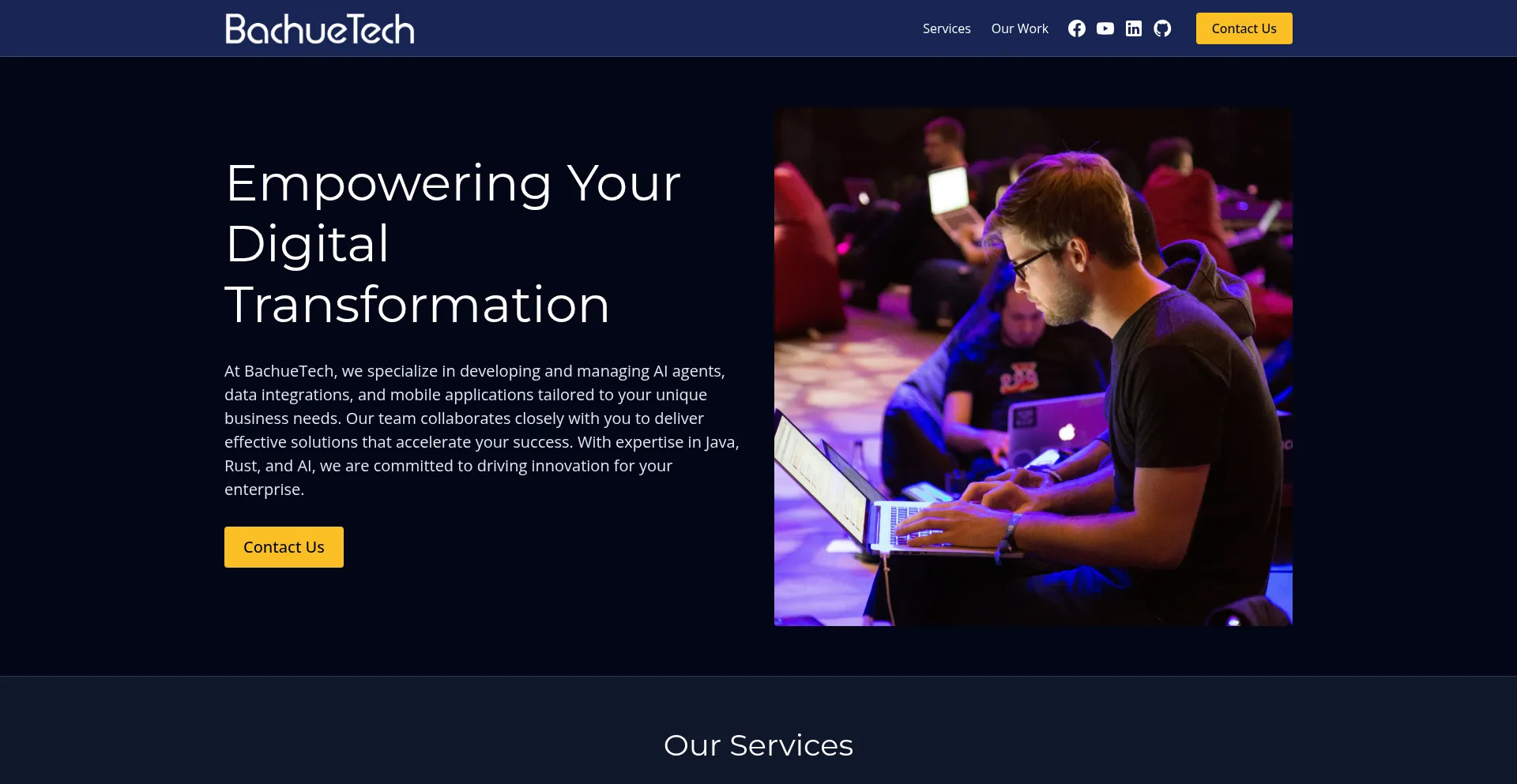 Website screenshot of Bachuetech.biz