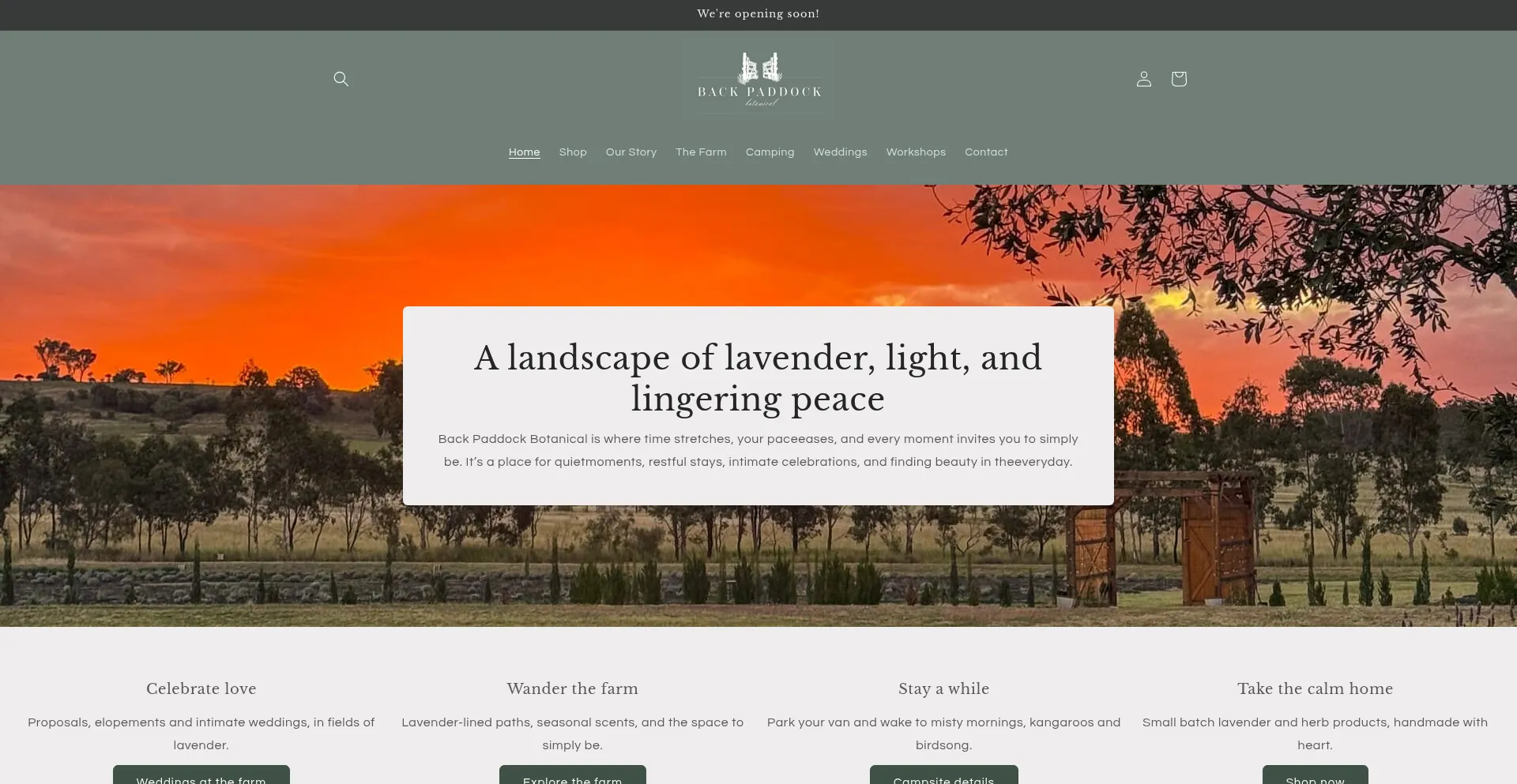 Website screenshot of Backpaddockbotanical.com.au