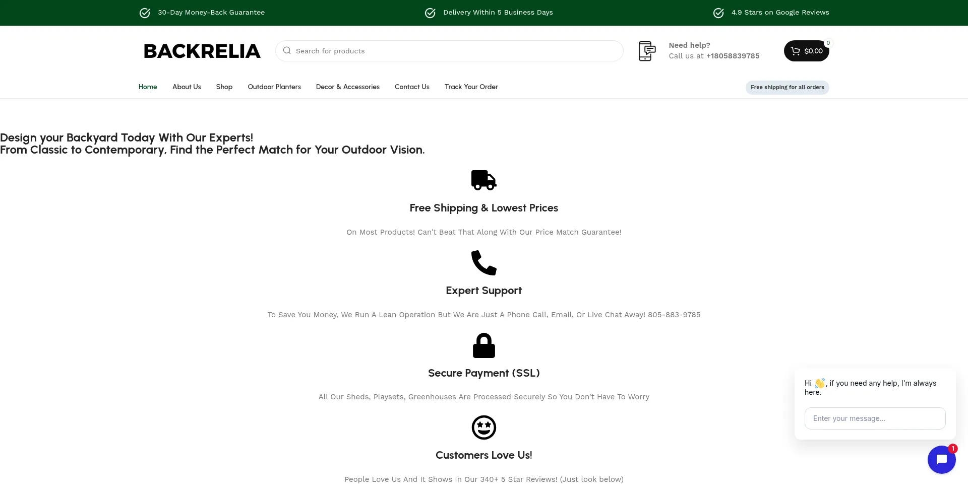 Website screenshot of Backrelia.com