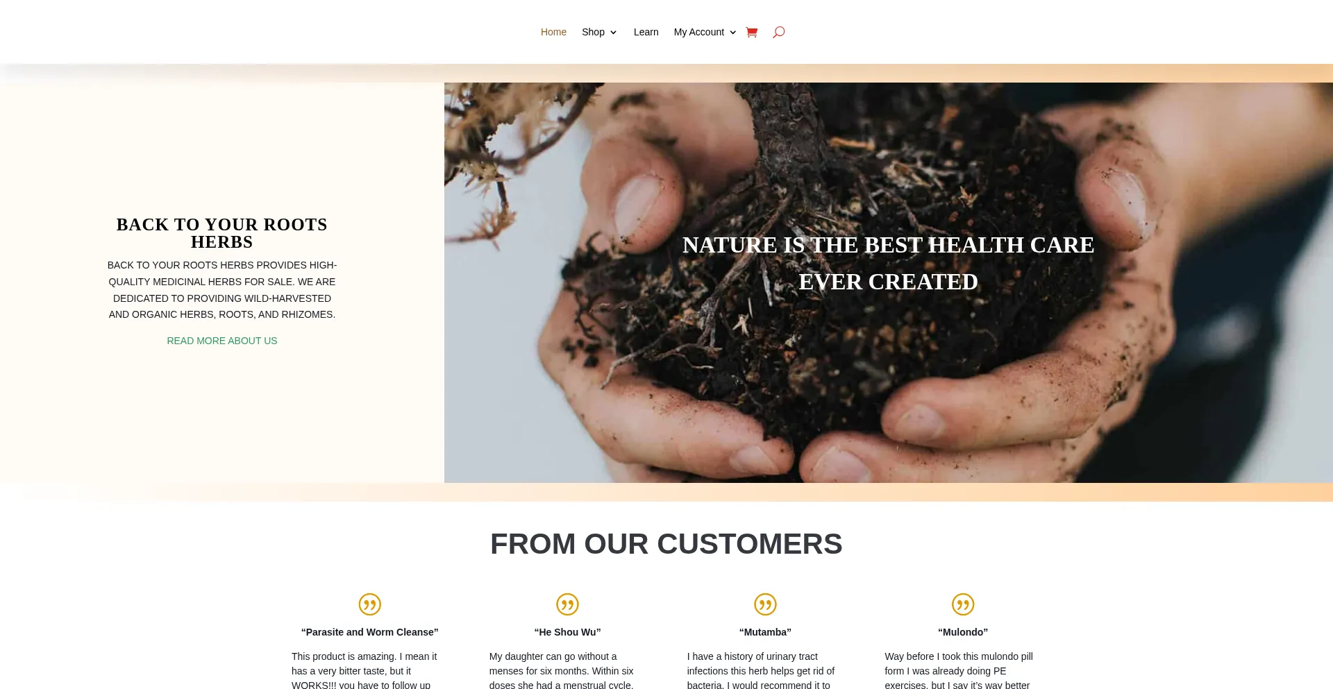 Backtoyourrootsherbs.com