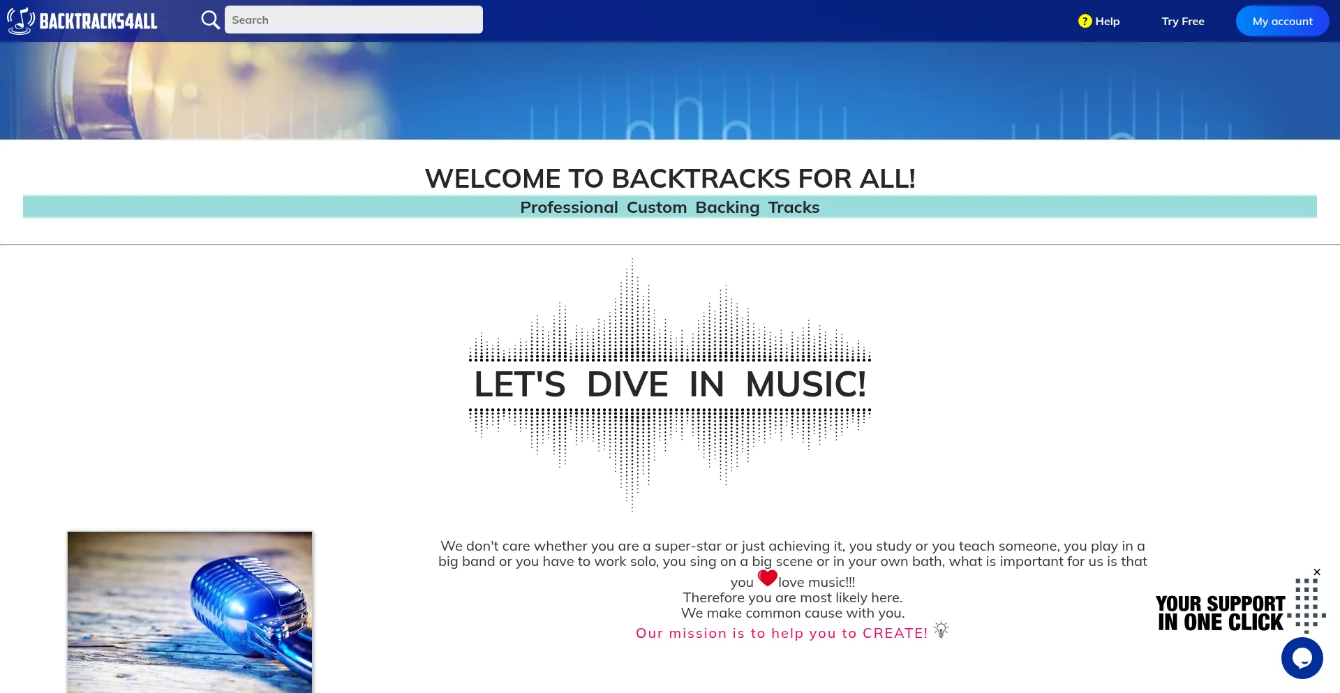Website screenshot of Backtracks4all.com