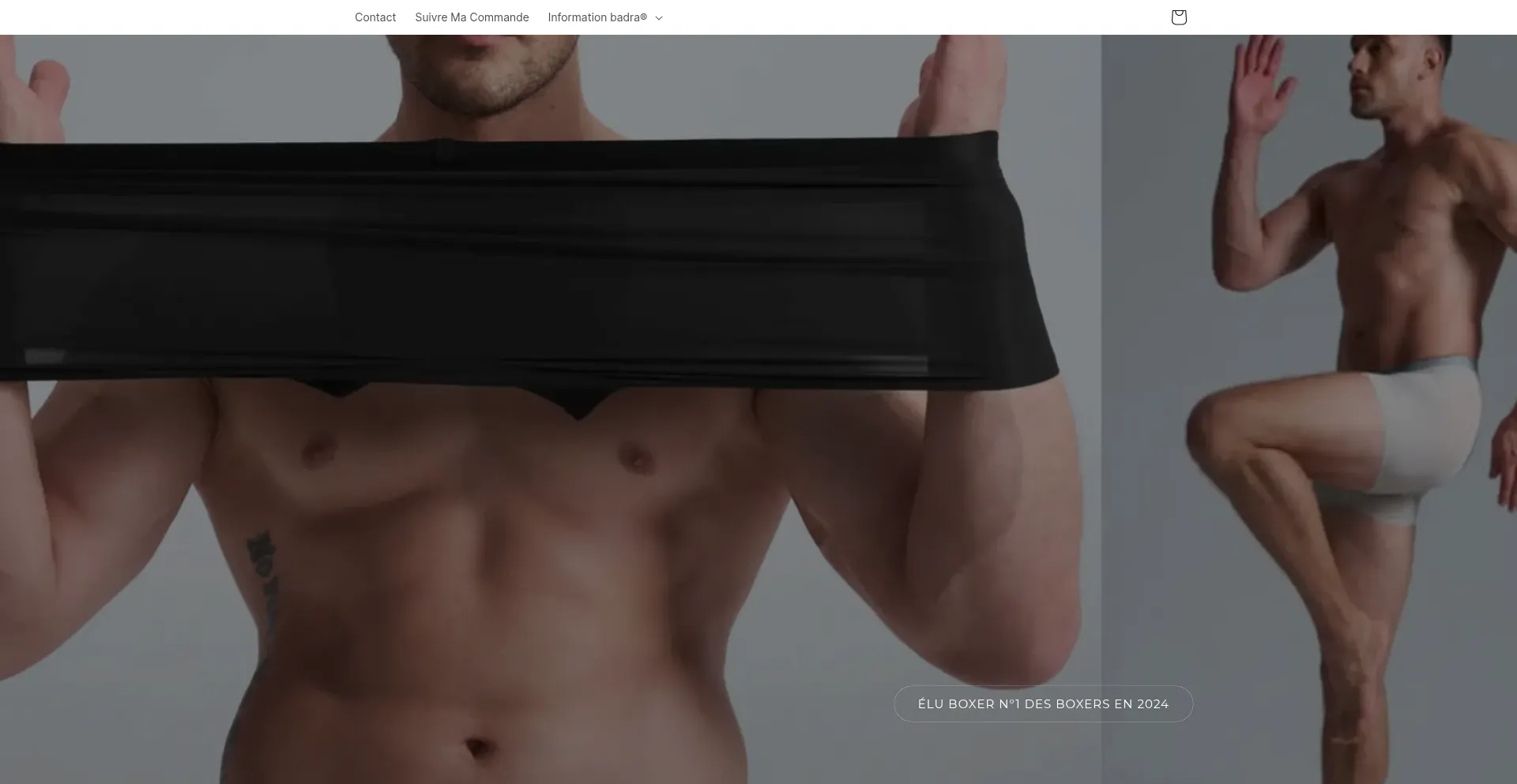 Badra.site Screenshot