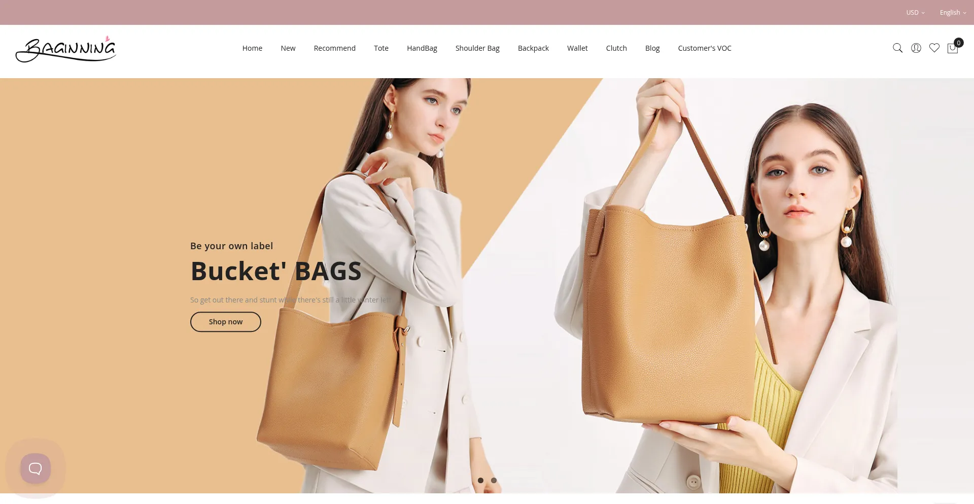 Website screenshot of Baginning.com