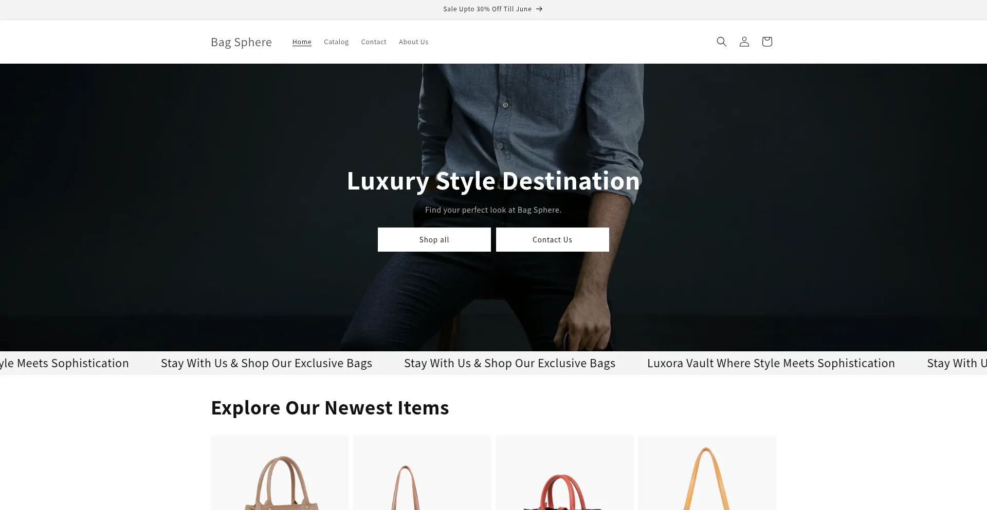 Website screenshot of Bagshphere.myshopify.com