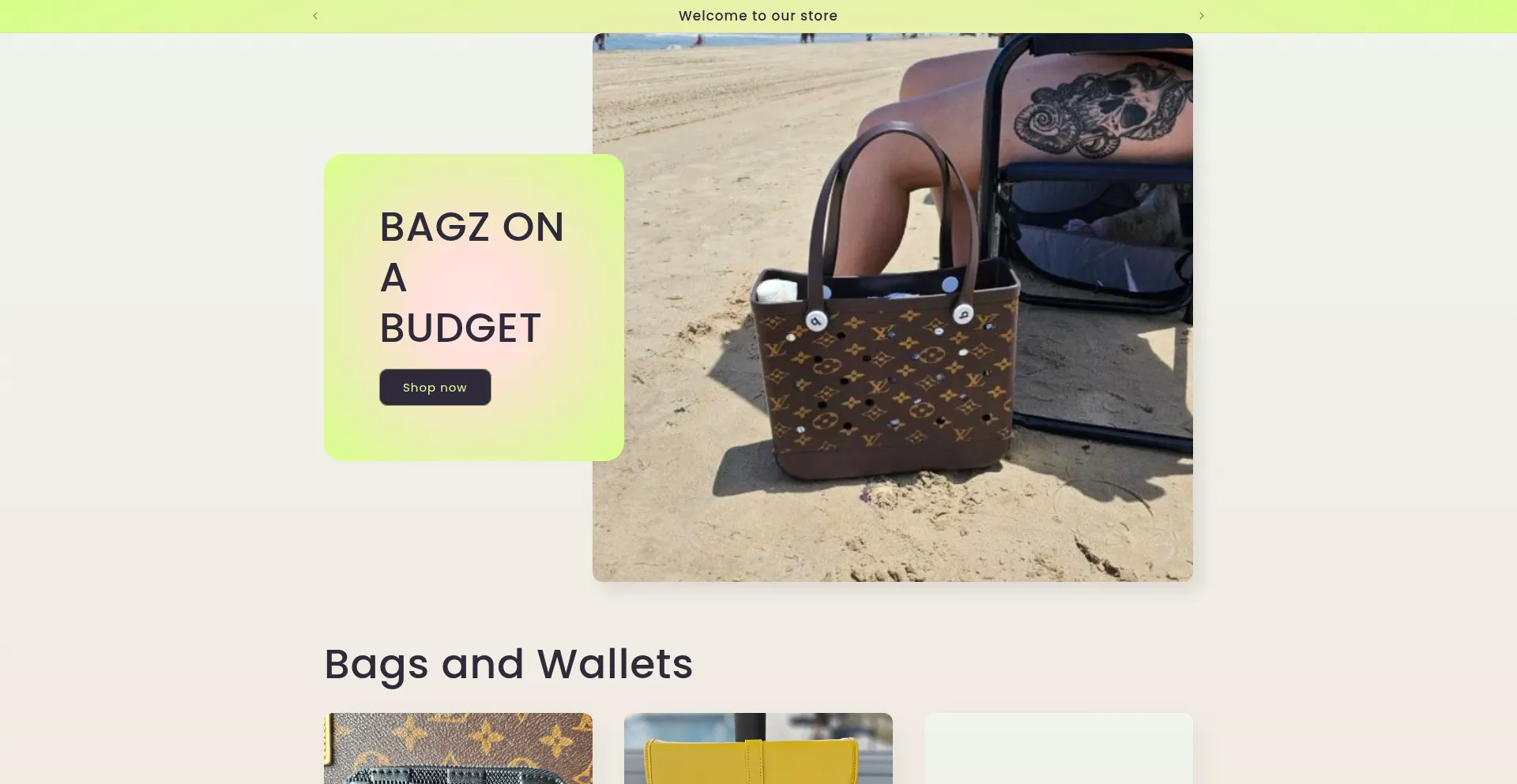 Bagzonabudget.com