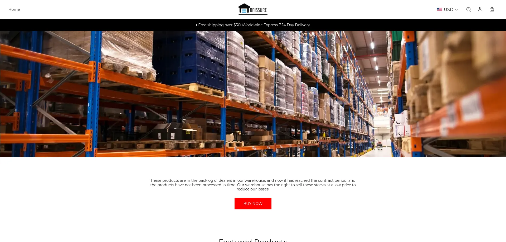 Website screenshot of Baissure.com