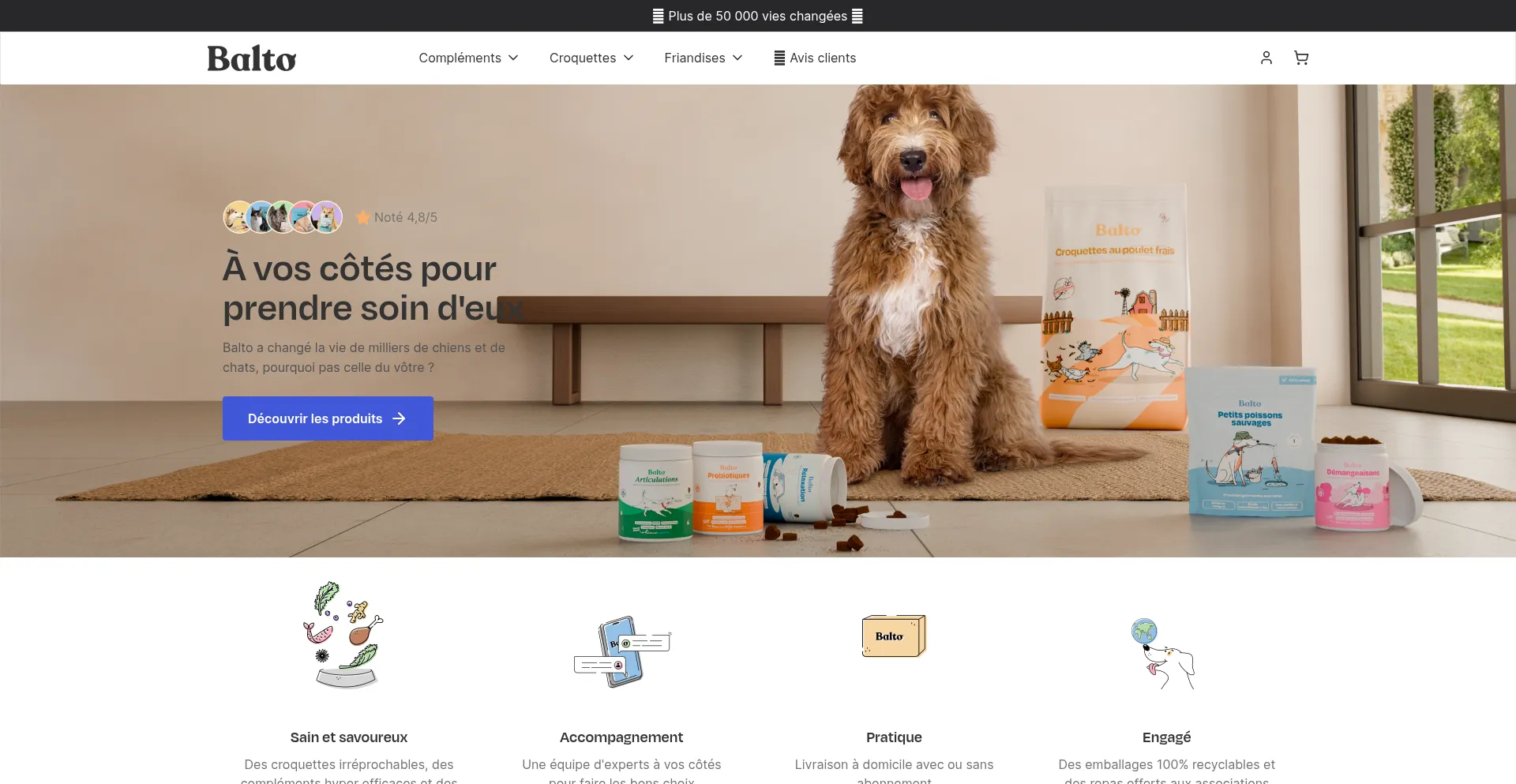 Website screenshot of Balto.fr