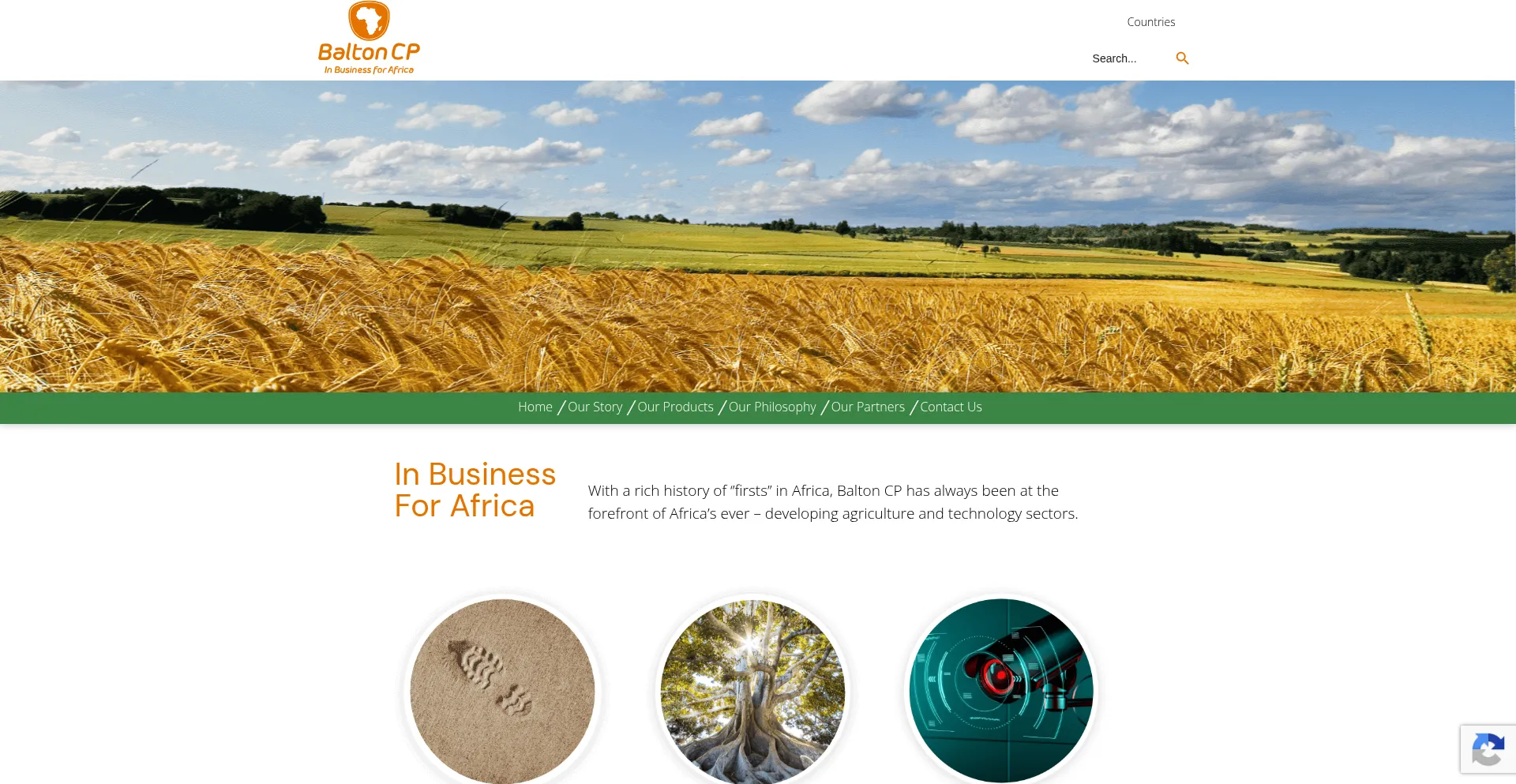 Baltoncp.com