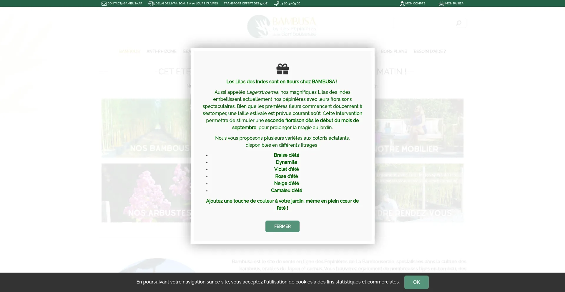 Website screenshot of Bambusa.fr