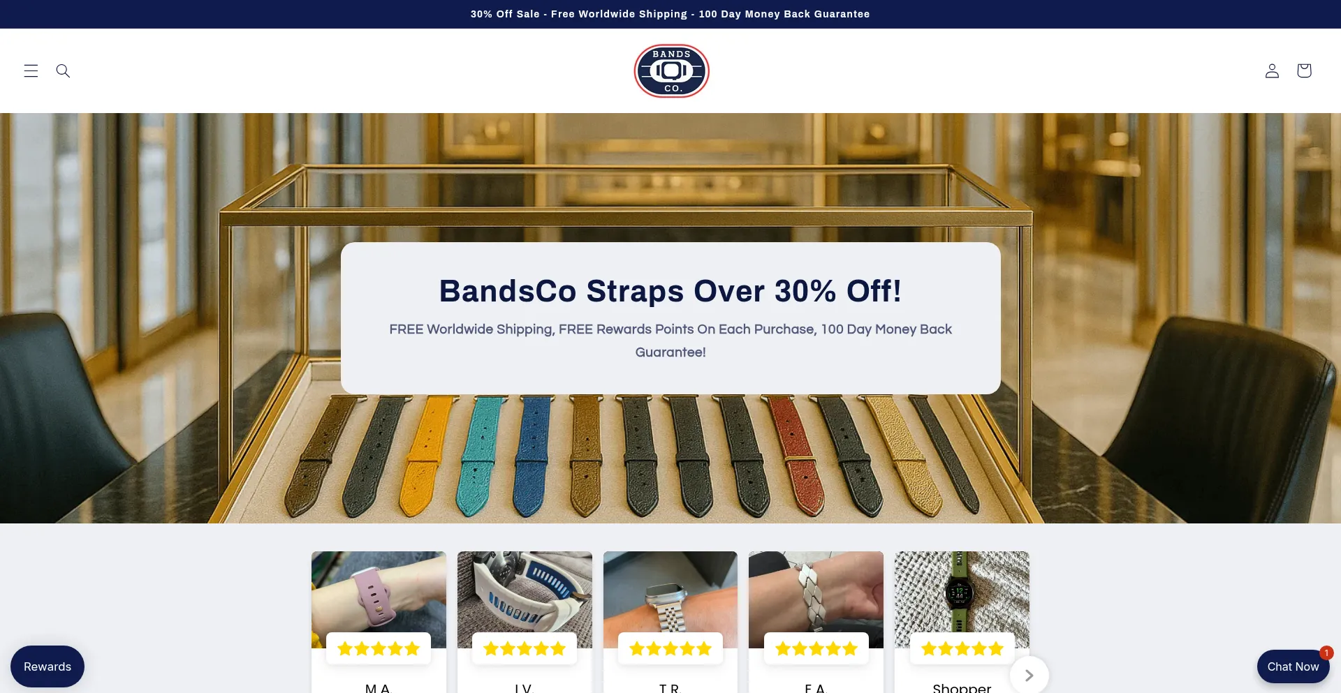 Website screenshot of Bandscostraps.com