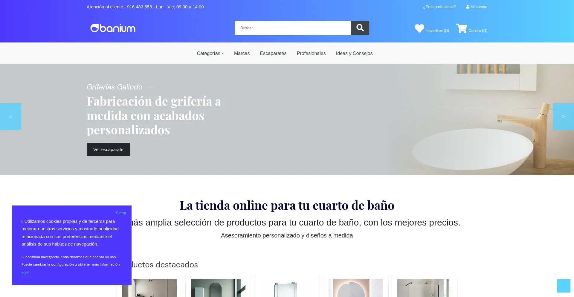 Website screenshot of Banium.com