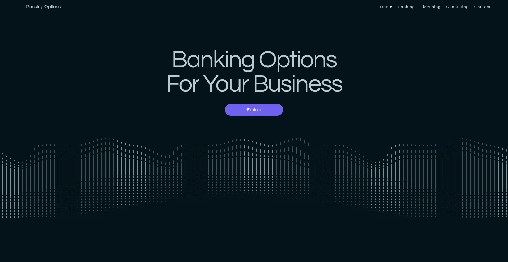 Bankingoptions.net