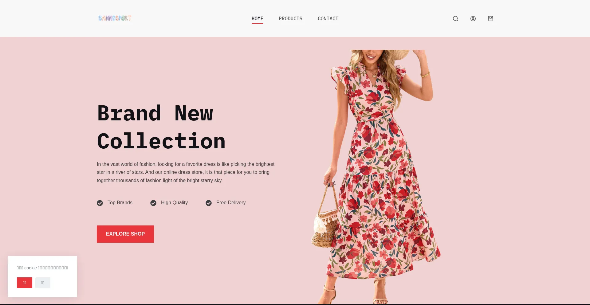 Website screenshot of Banngsport.com