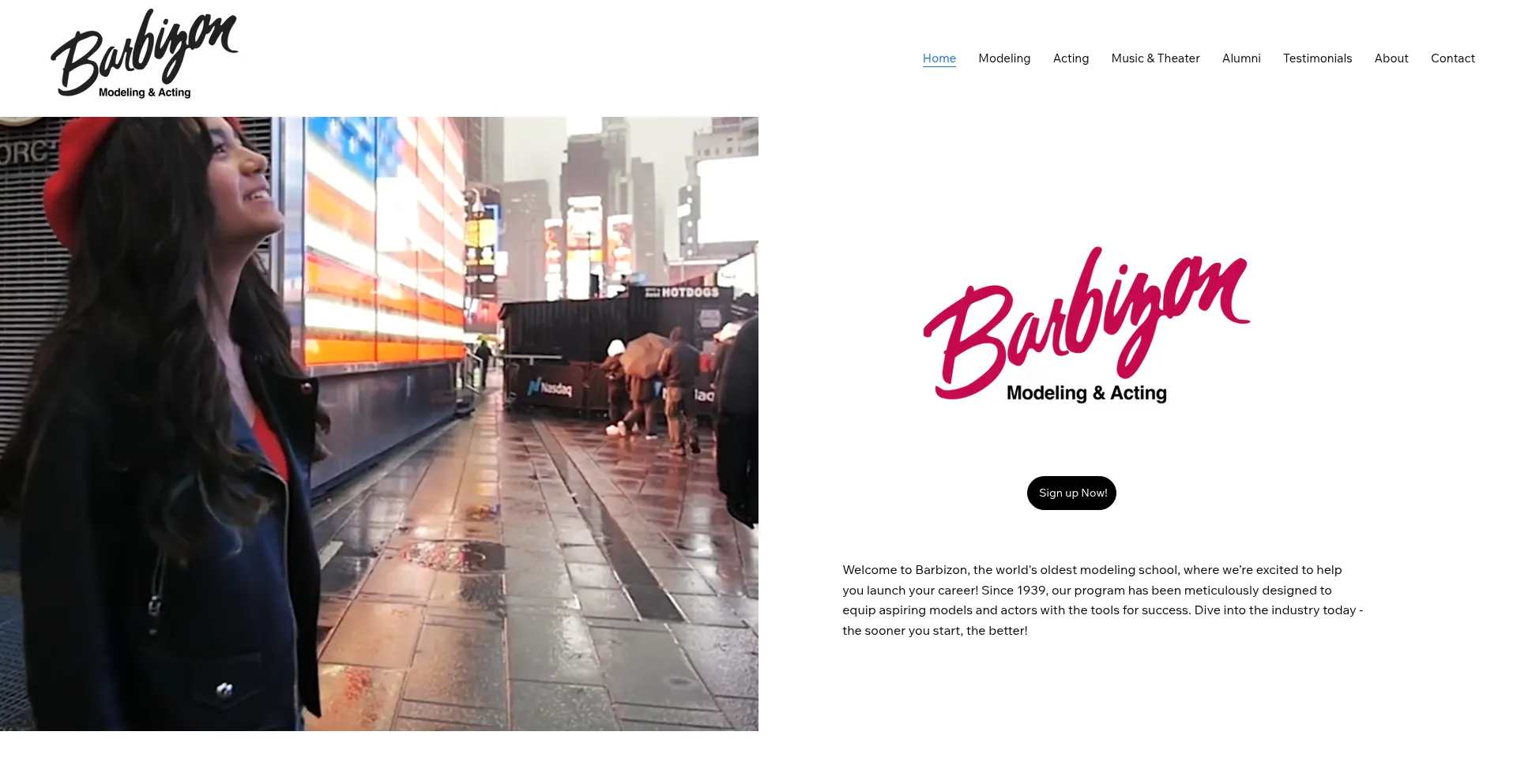 Website screenshot of Barbizonnyc.com