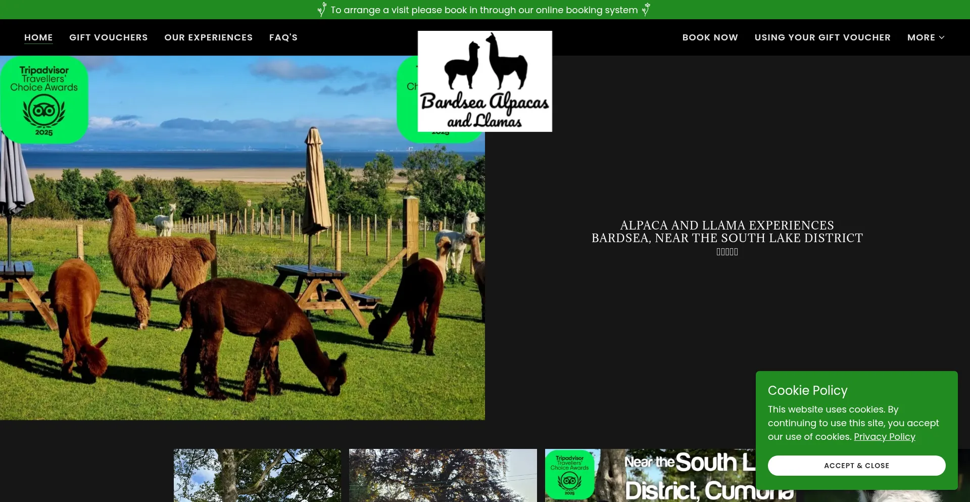 Is Bardsea-alpacas.co.uk Safe?