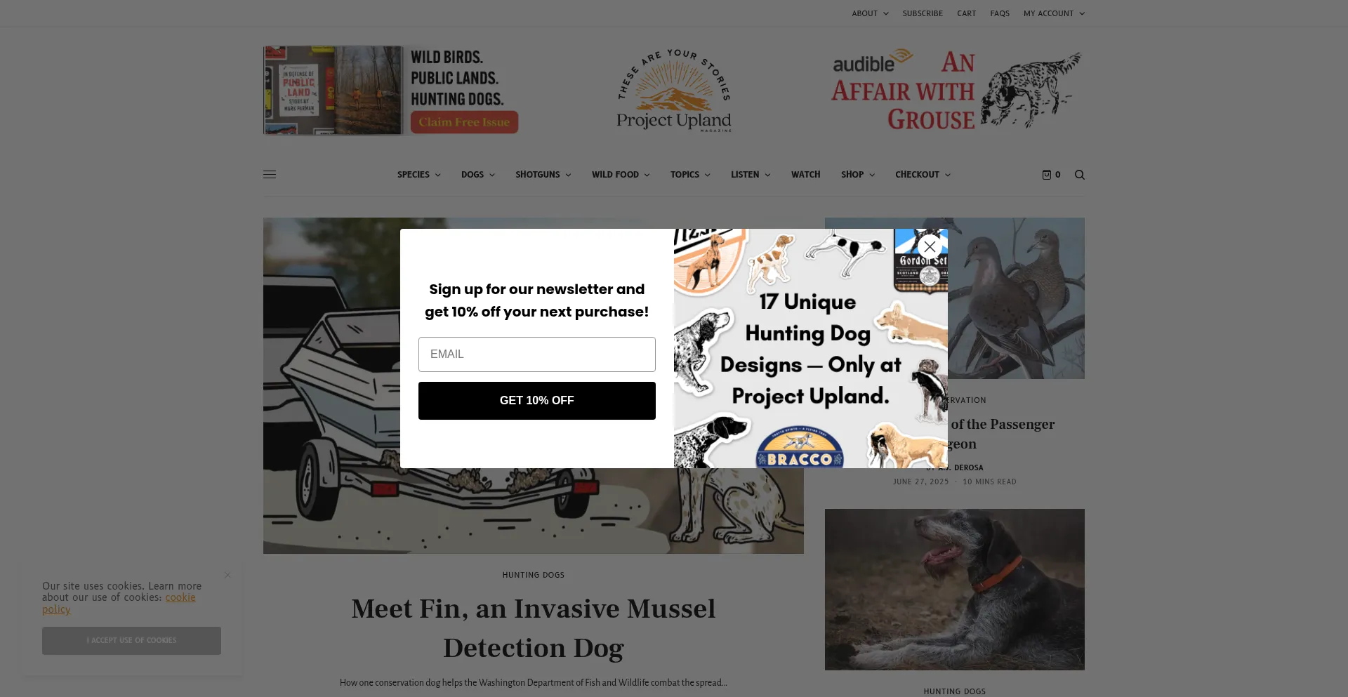 Website screenshot of Bargainbuzz.store