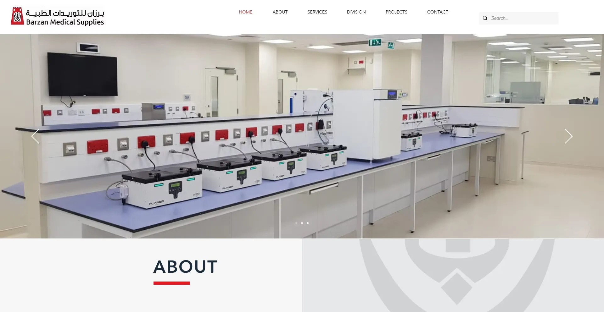 Website screenshot of Barzanmedical.com