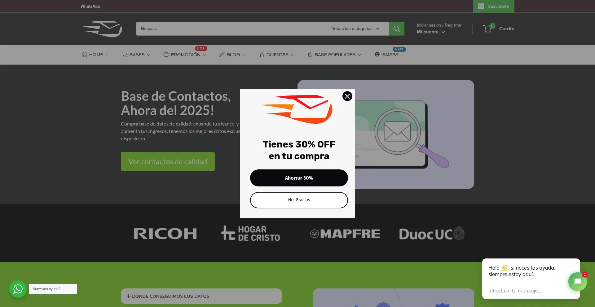 Basededatoschile.cl Screenshot
