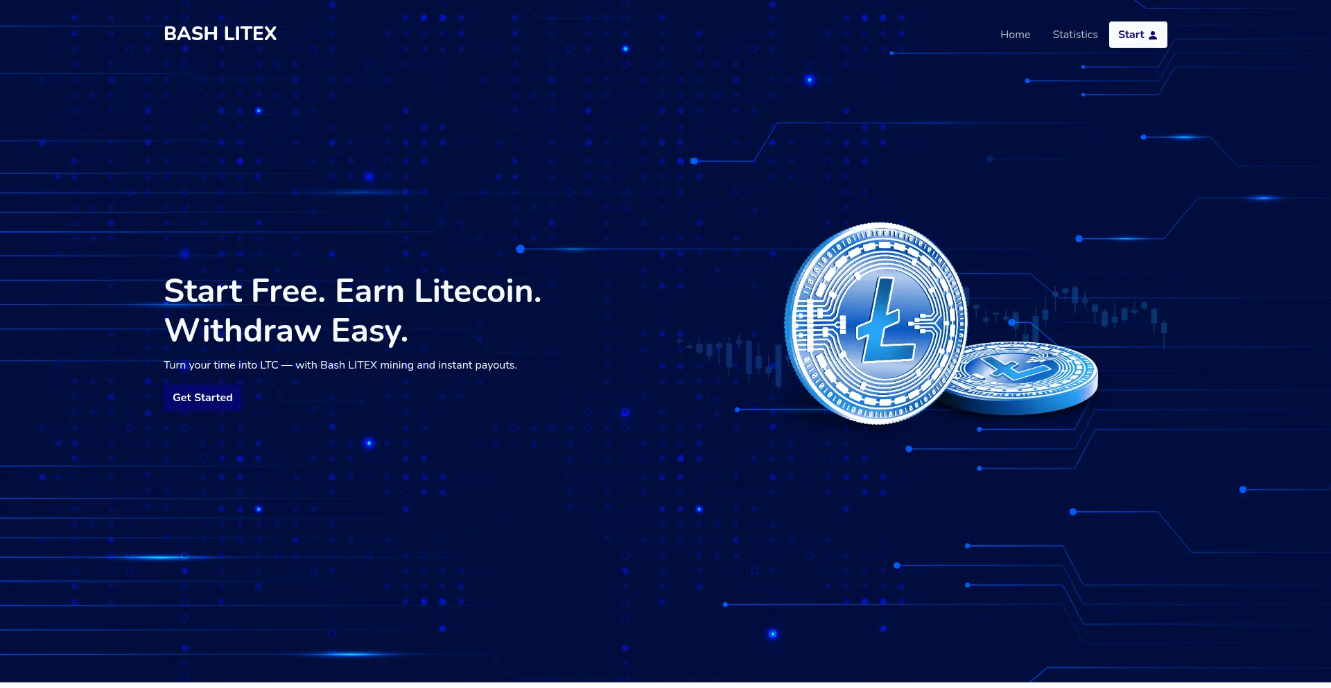 Website screenshot of Bashlitex.com