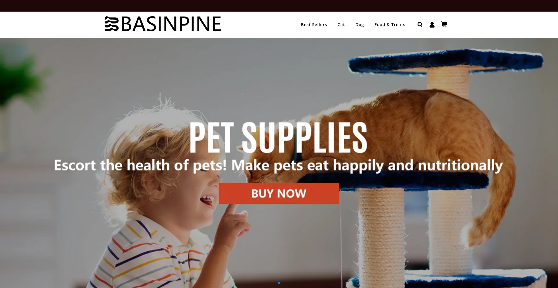 Website screenshot of Basinpine.com